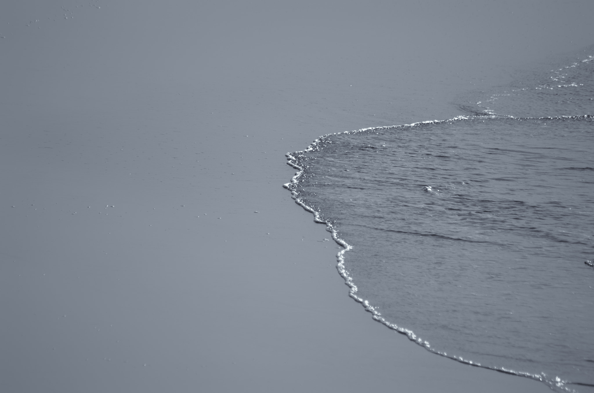 Sigma 70-300mm F4-5.6 APO DG Macro sample photo