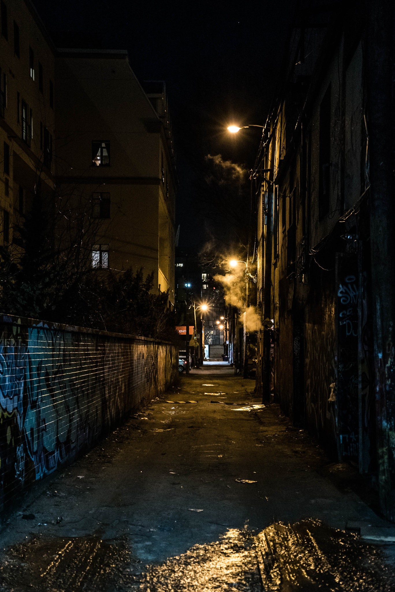 Sony a7S II + Sony Vario Tessar T* FE 24-70mm F4 ZA OSS sample photo. The city is yours. photography