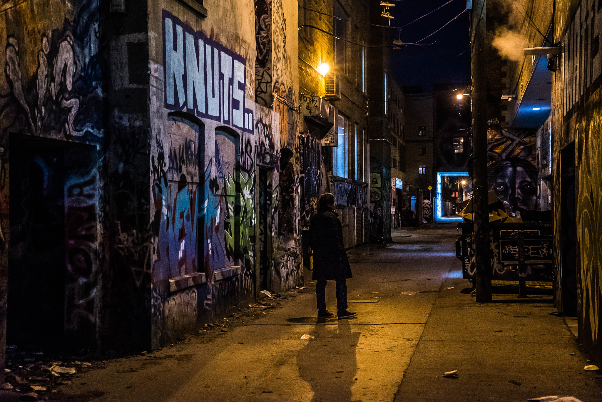 Sony a7S II + Sony Vario Tessar T* FE 24-70mm F4 ZA OSS sample photo. The city is yours. photography