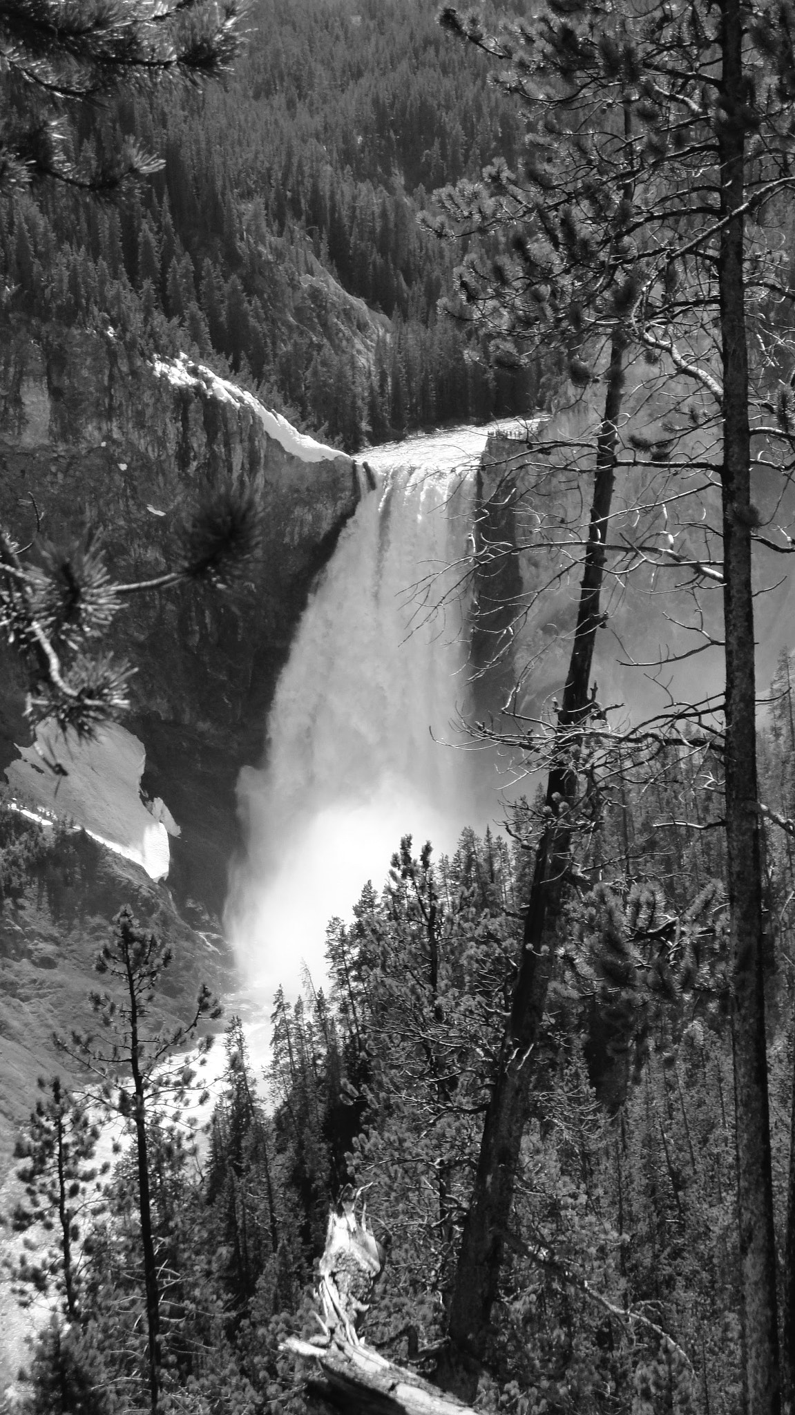 Sony DSC-W270 sample photo. Yellowstone river photography