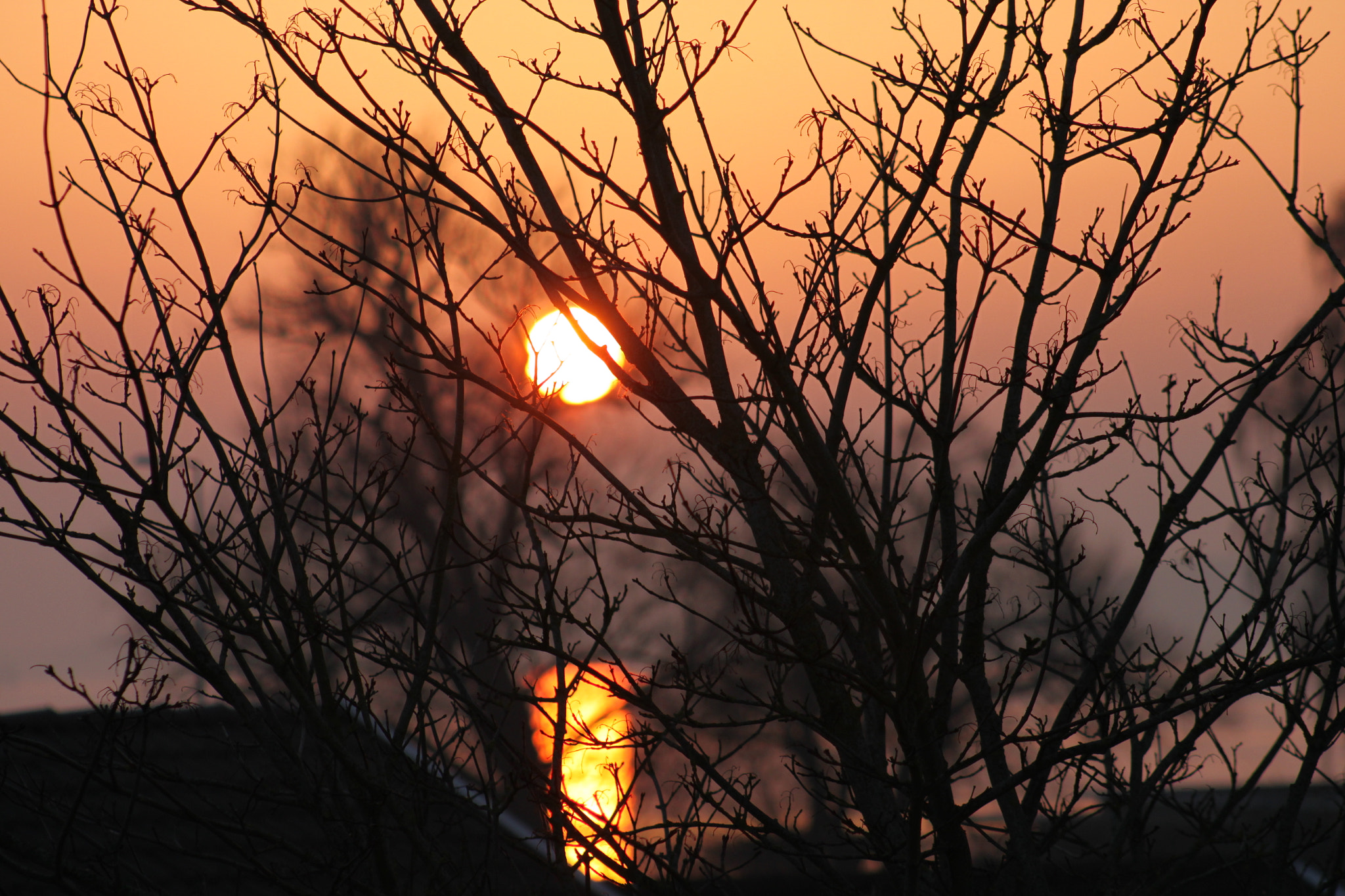 Canon EF 75-300mm f/4-5.6 USM sample photo. Golden sunset photography