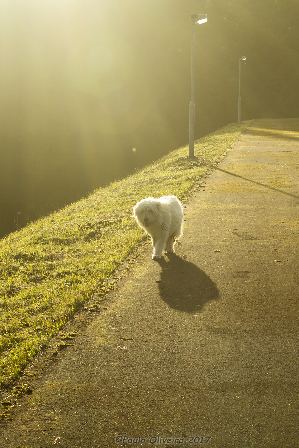 Canon EF-S 55-250mm F4-5.6 IS sample photo. My friend photography