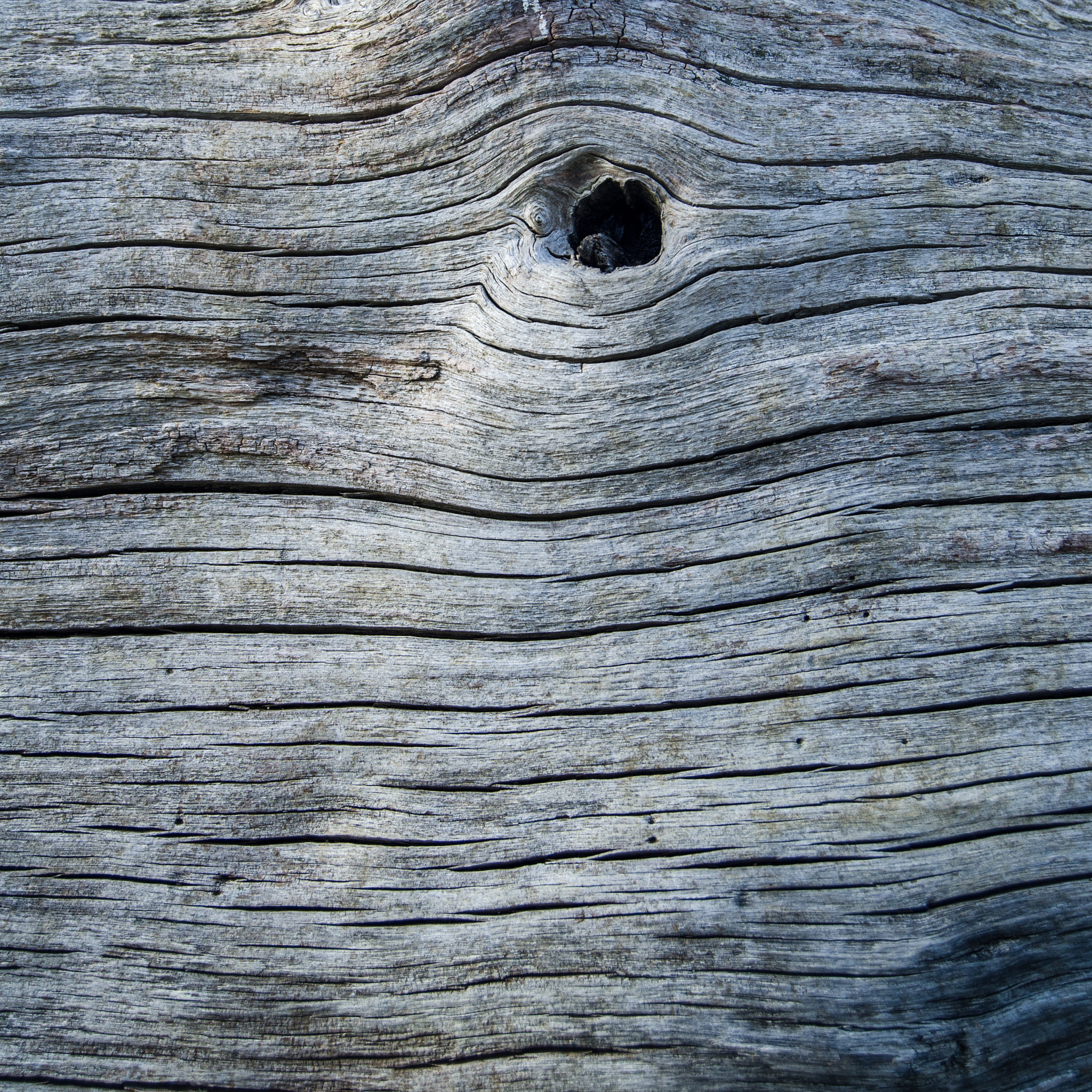 Nikon D7000 sample photo. Wood texture with knot photography