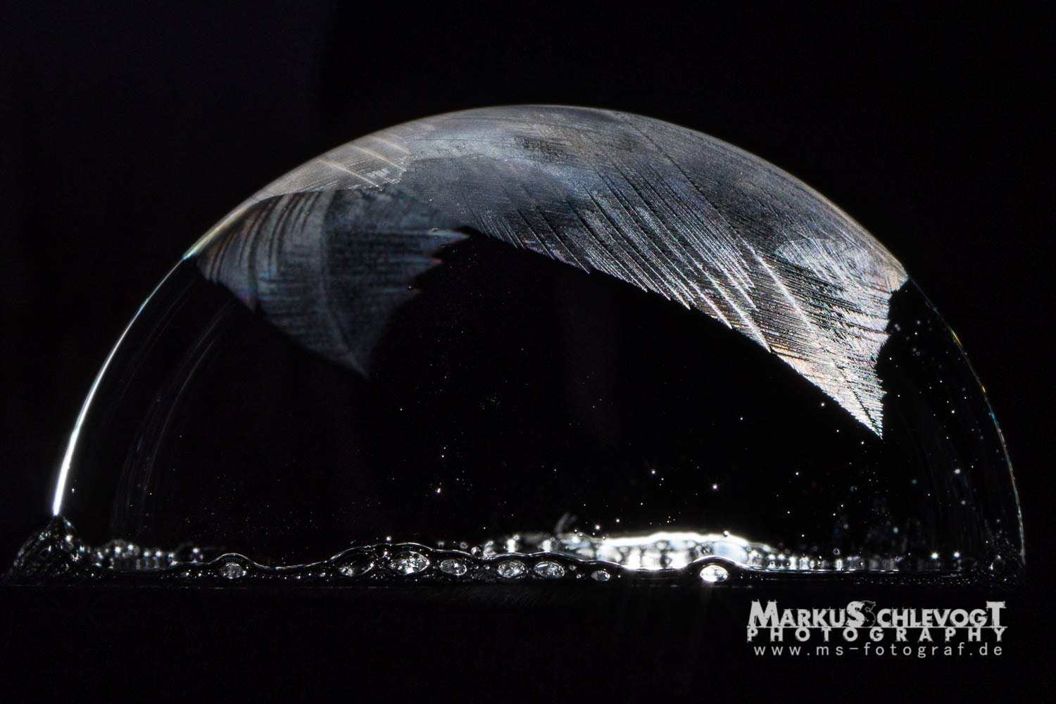 LUMIX G 25/F1.7 sample photo. Frozen soap bubble_01 photography