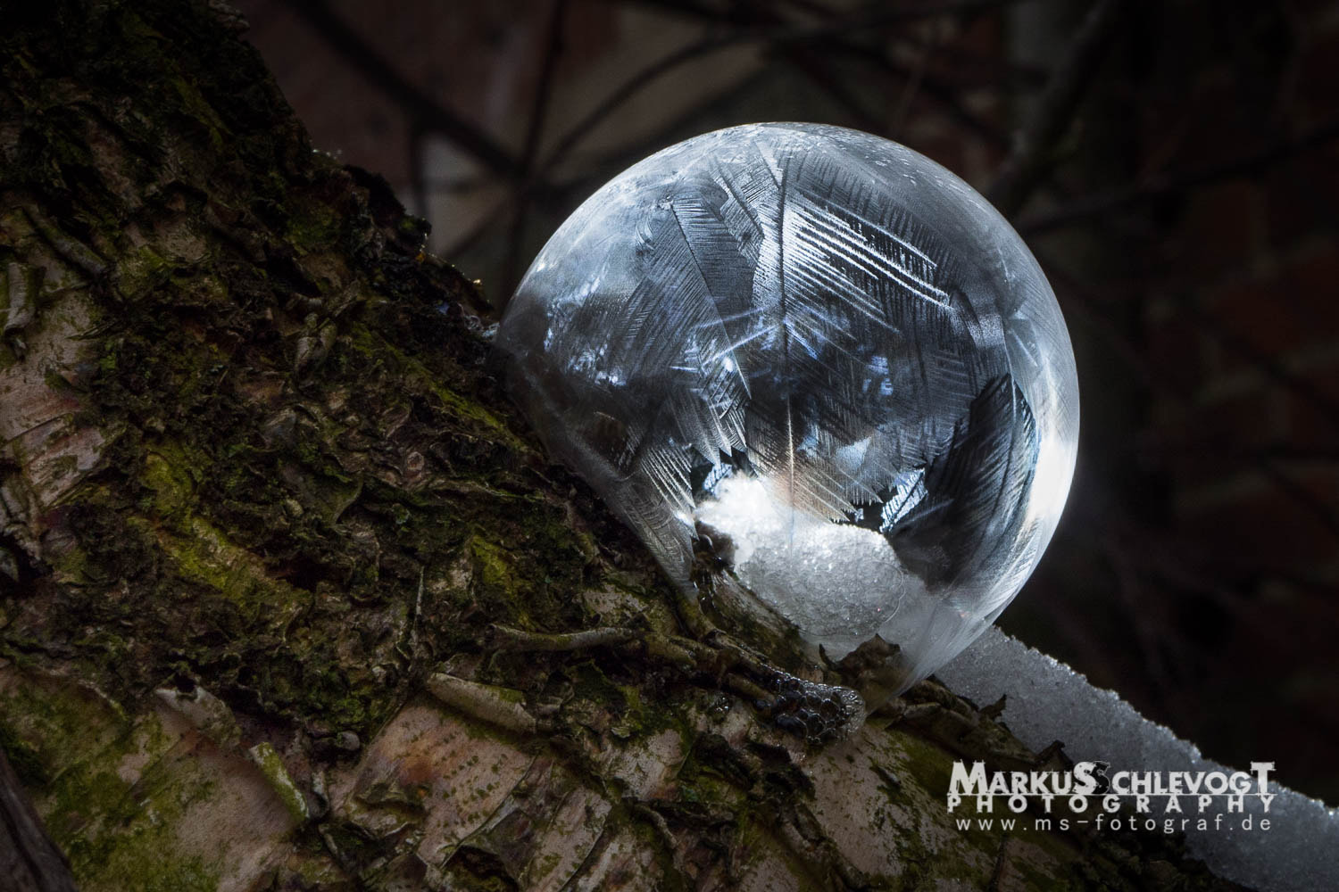 Olympus OM-D E-M10 II + LUMIX G 25/F1.7 sample photo. Frozen soap bubble_02 photography