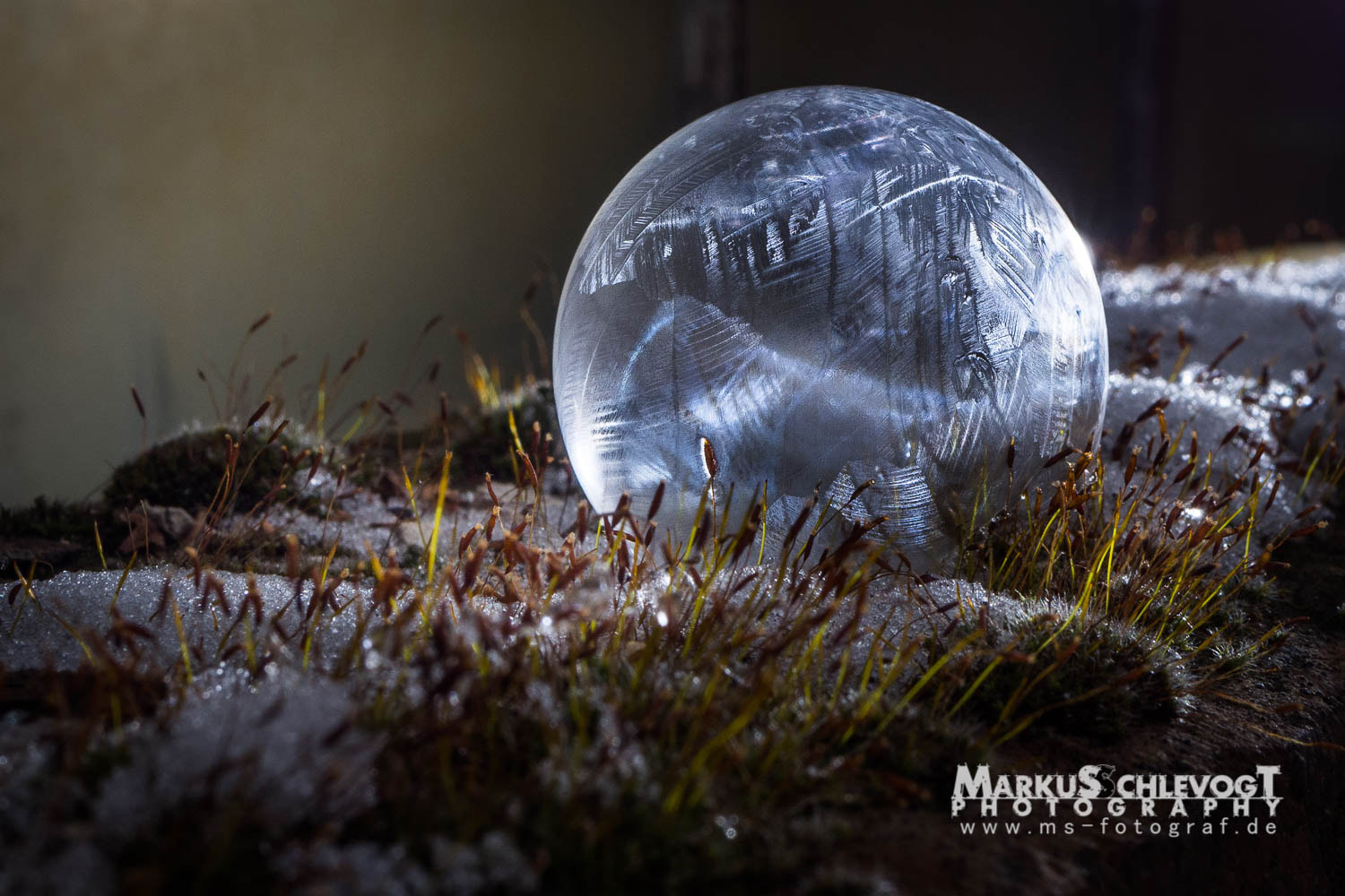 Olympus OM-D E-M10 II + LUMIX G 25/F1.7 sample photo. Frozen soap bubble_03 photography
