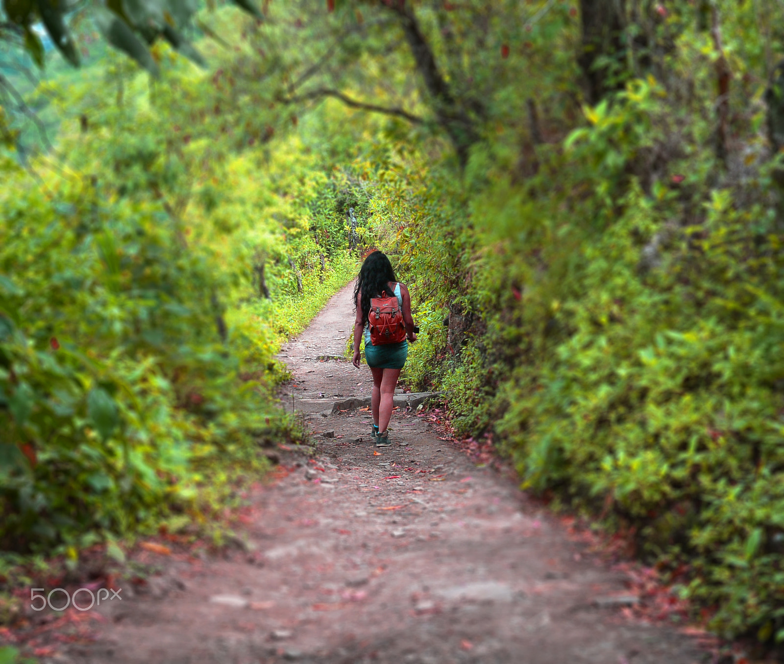 Nikon 1 Nikkor 11-27.5mm F3.5-5.6 sample photo. Girl in the forest photography
