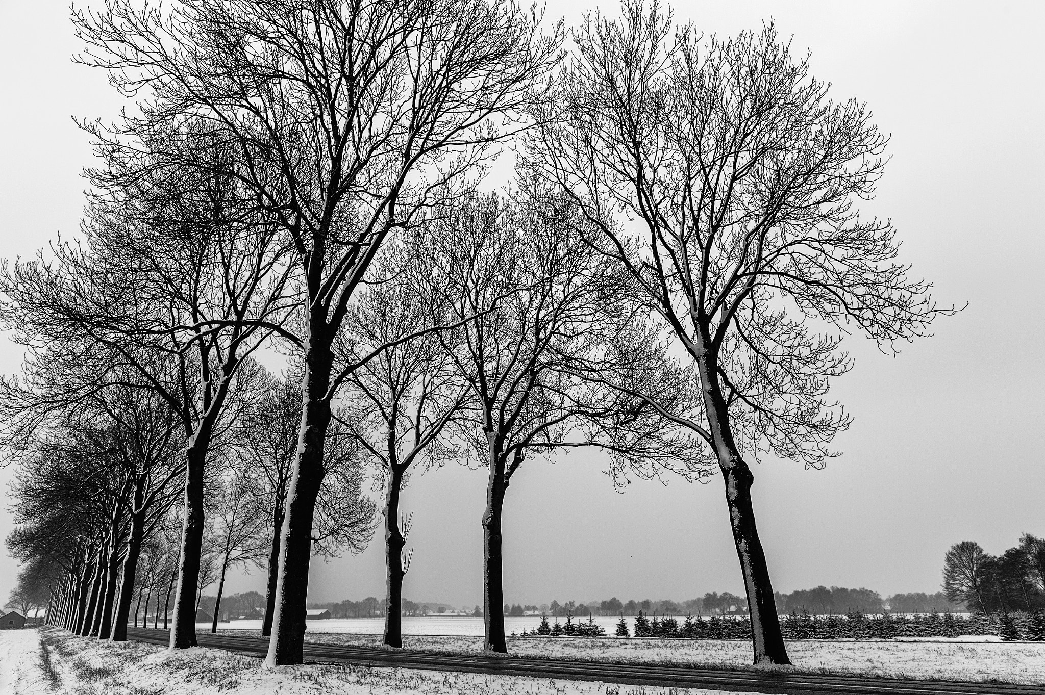 Nikon D4S sample photo. Only 1 day this year with snow ! photography