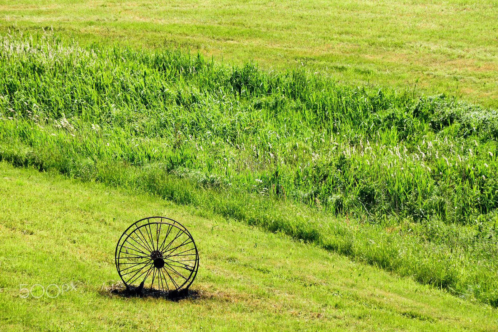 Nikon D3300 + Tamron AF 18-200mm F3.5-6.3 XR Di II LD Aspherical (IF) Macro sample photo. Burnt antique metal carriage wheel in a meadow. photography