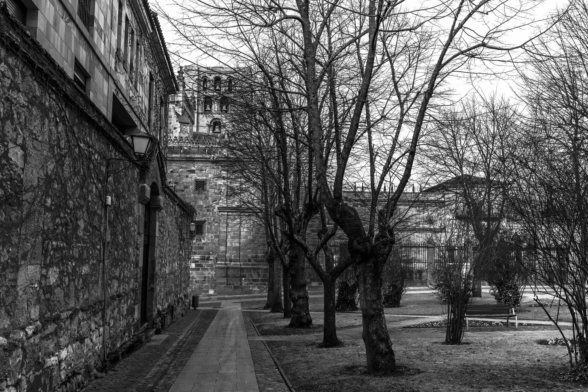 Canon EF 35mm F1.4L II USM sample photo. Catedral zamora y parque black & white photography