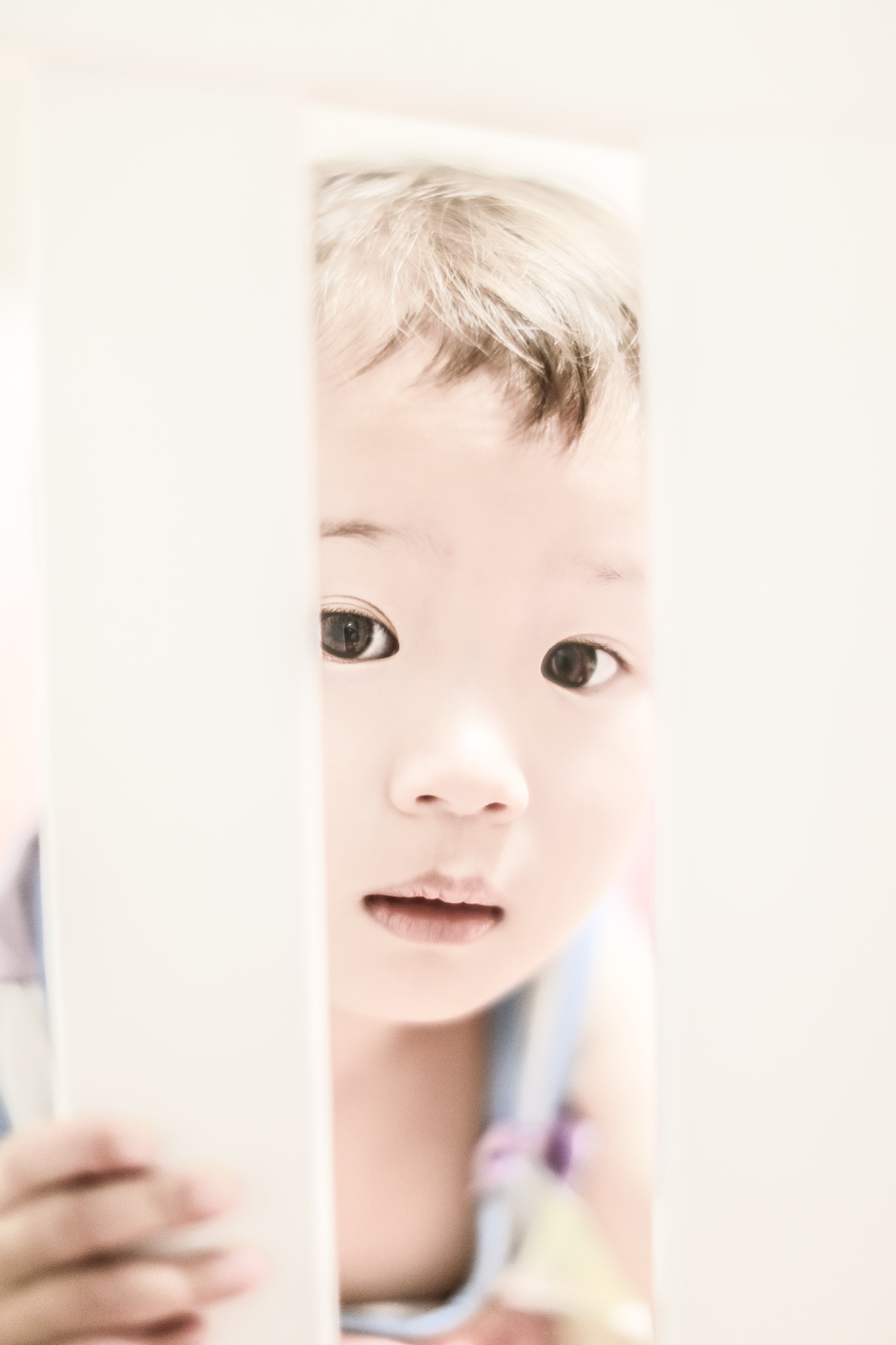 Canon EOS 5DS R + Canon EF 50mm F1.2L USM sample photo. So.... photography