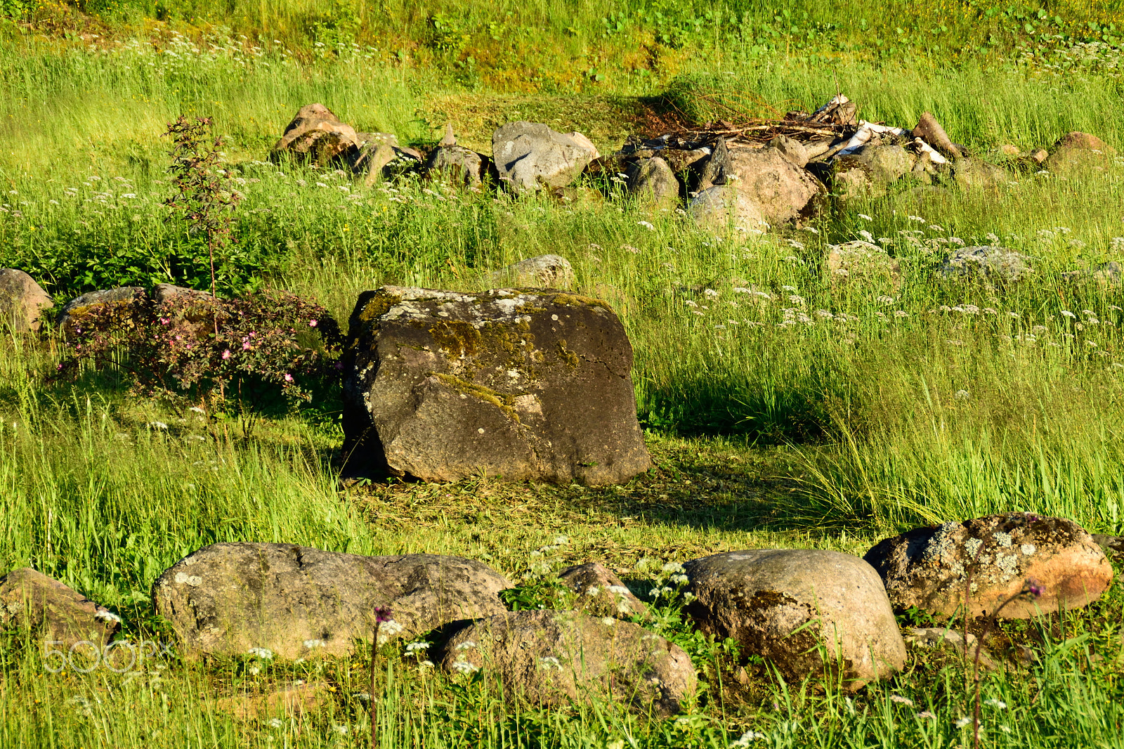 Nikon D3300 + Tamron AF 18-200mm F3.5-6.3 XR Di II LD Aspherical (IF) Macro sample photo. Old rocks in the meadow. photography
