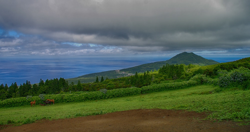 Tamron AF 18-200mm F3.5-6.3 XR Di II LD Aspherical (IF) Macro sample photo. Heaven on earth photography