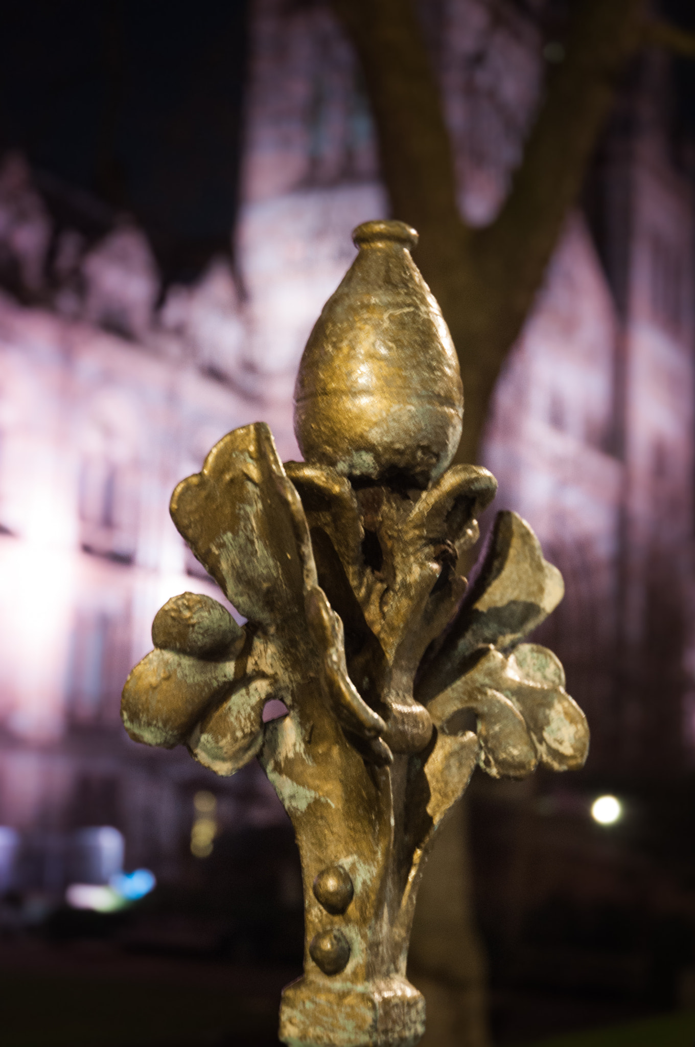Nikon D5000 sample photo. Fleur de lis photography