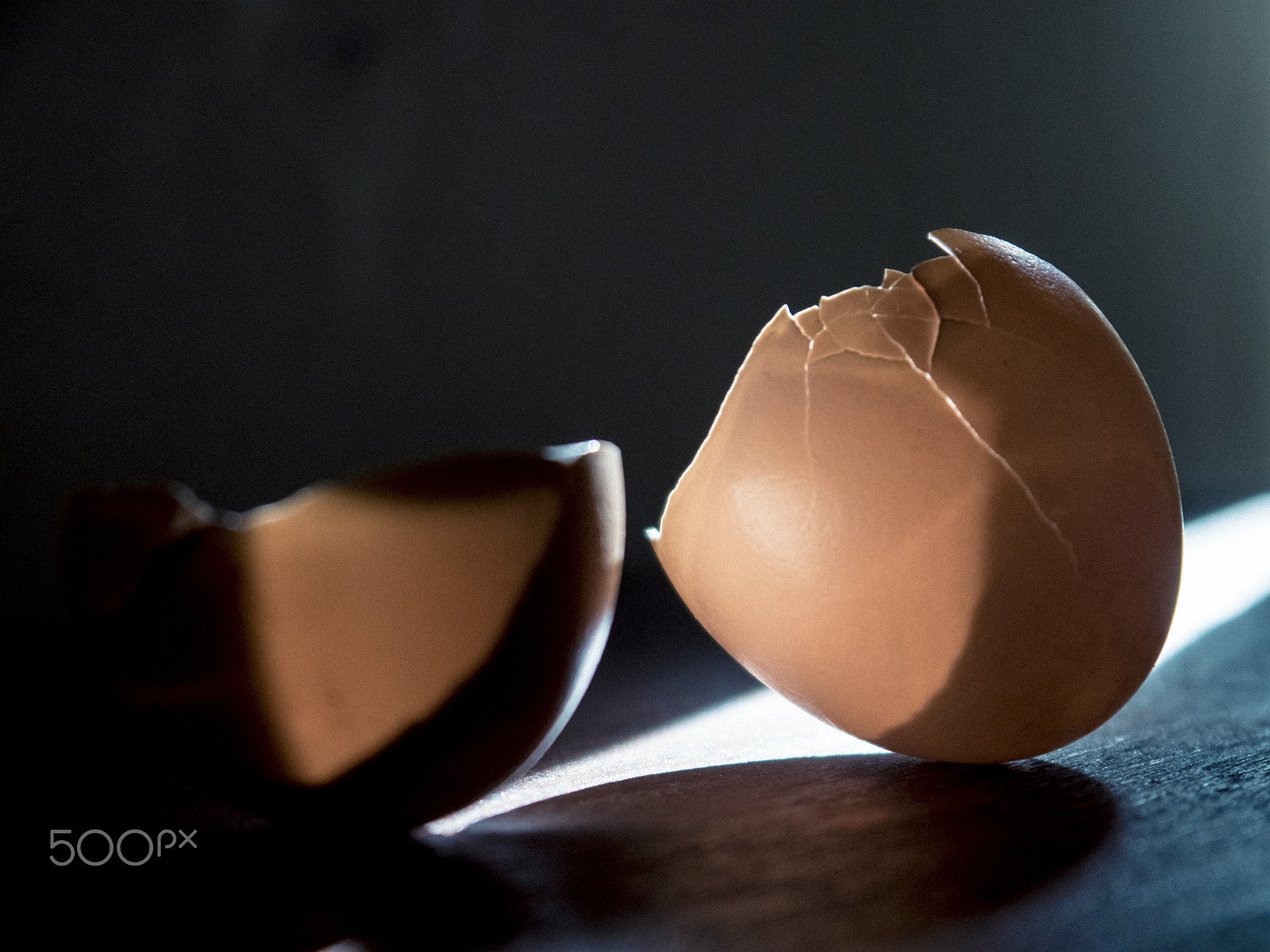 Panasonic Lumix DMC-GH4 sample photo. Egg shells photography