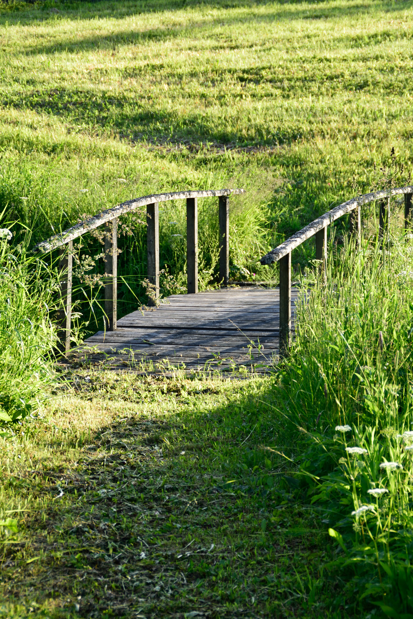 Nikon D3300 + Tamron AF 18-200mm F3.5-6.3 XR Di II LD Aspherical (IF) Macro sample photo. Wooden bridge in the middle of meadow. photography