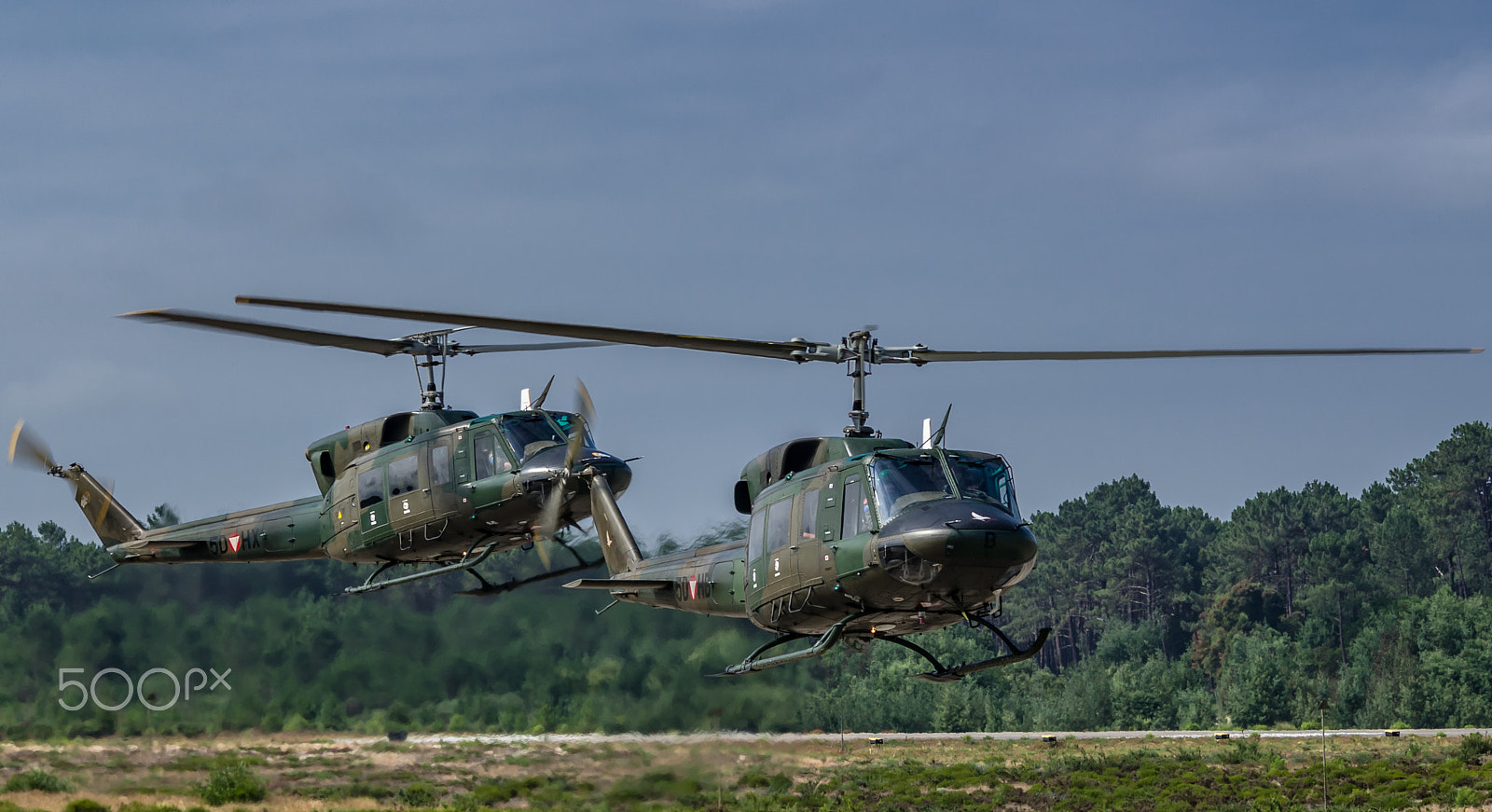 Sigma 120-400mm F4.5-5.6 DG OS HSM sample photo. Austrian augusta bell 212s photography
