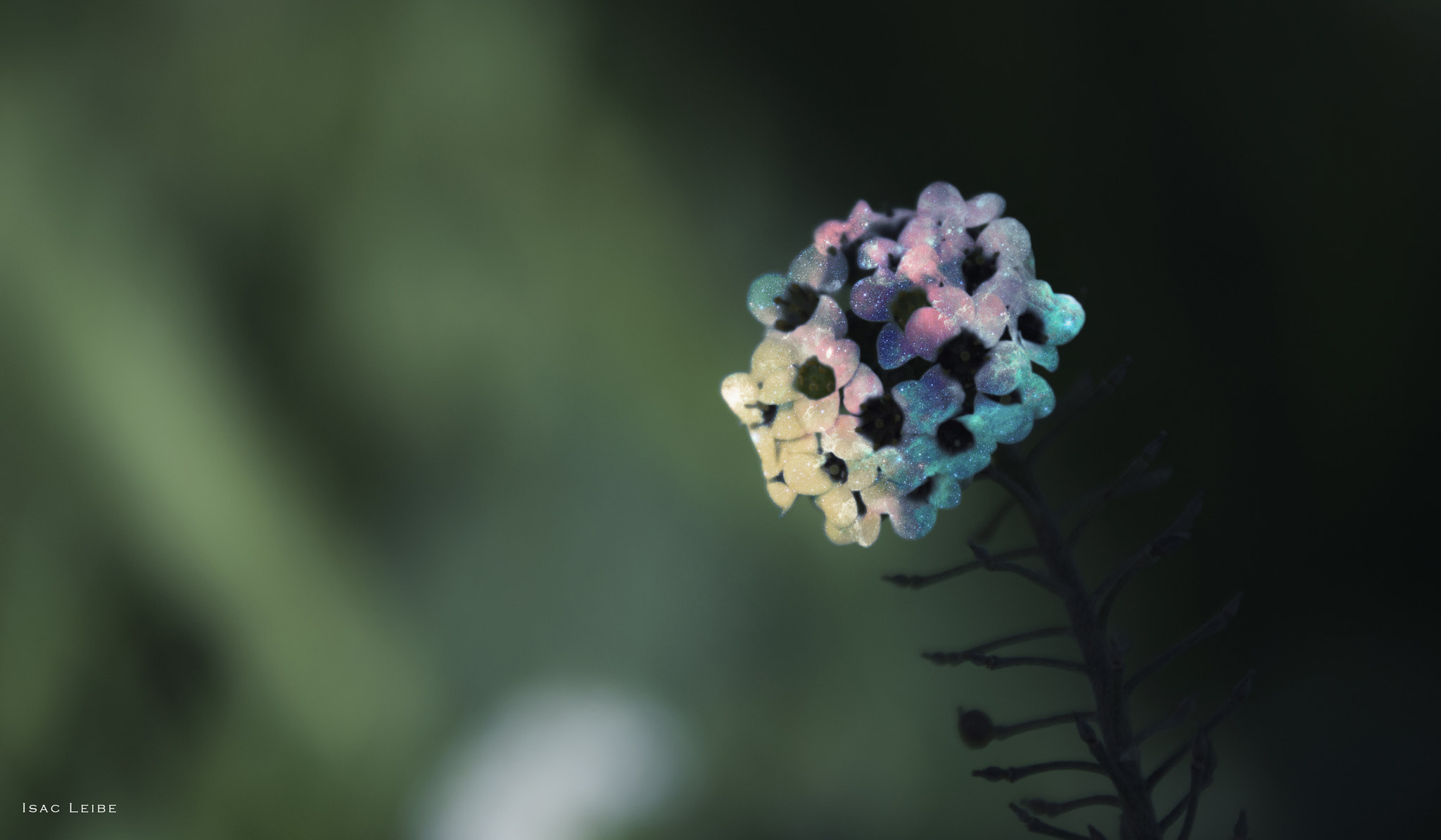 Sigma 18-250mm F3.5-6.3 DC Macro OS HSM sample photo. Dentro photography