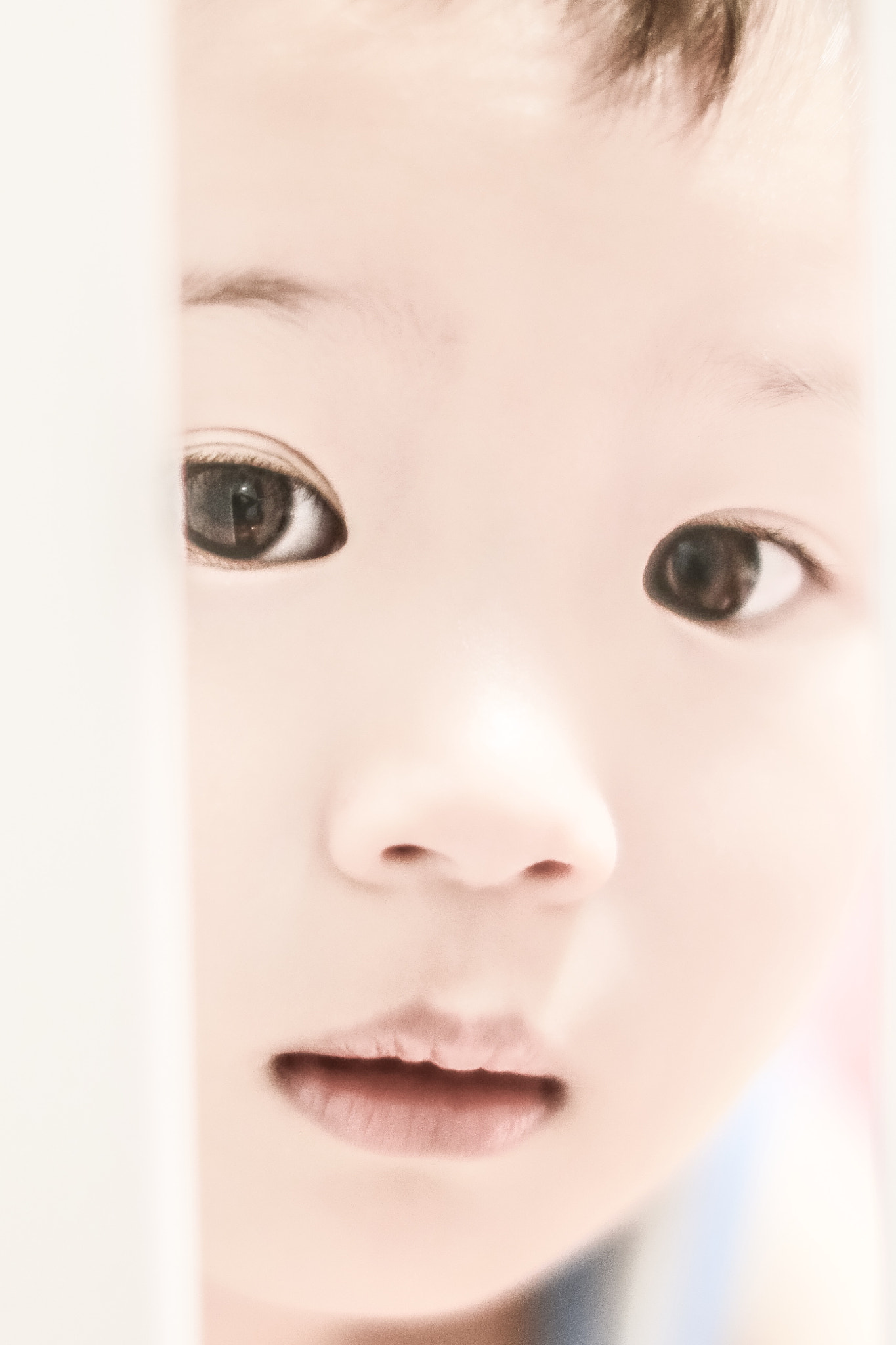 Canon EOS 5DS R + Canon EF 50mm F1.2L USM sample photo