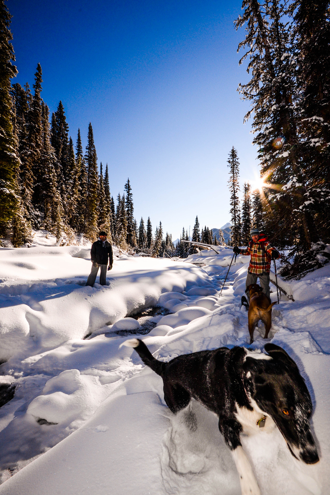 Nikon D610 sample photo. Snow hiking photography