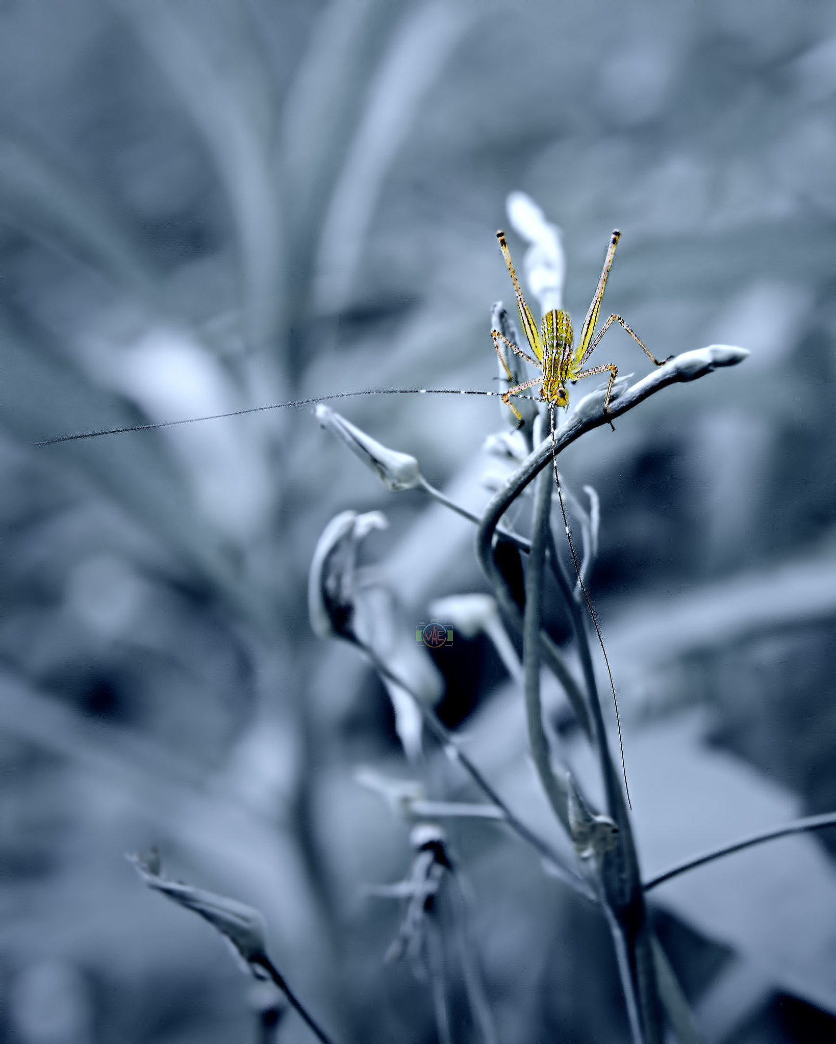 Nikon D800 sample photo. Her dream photography