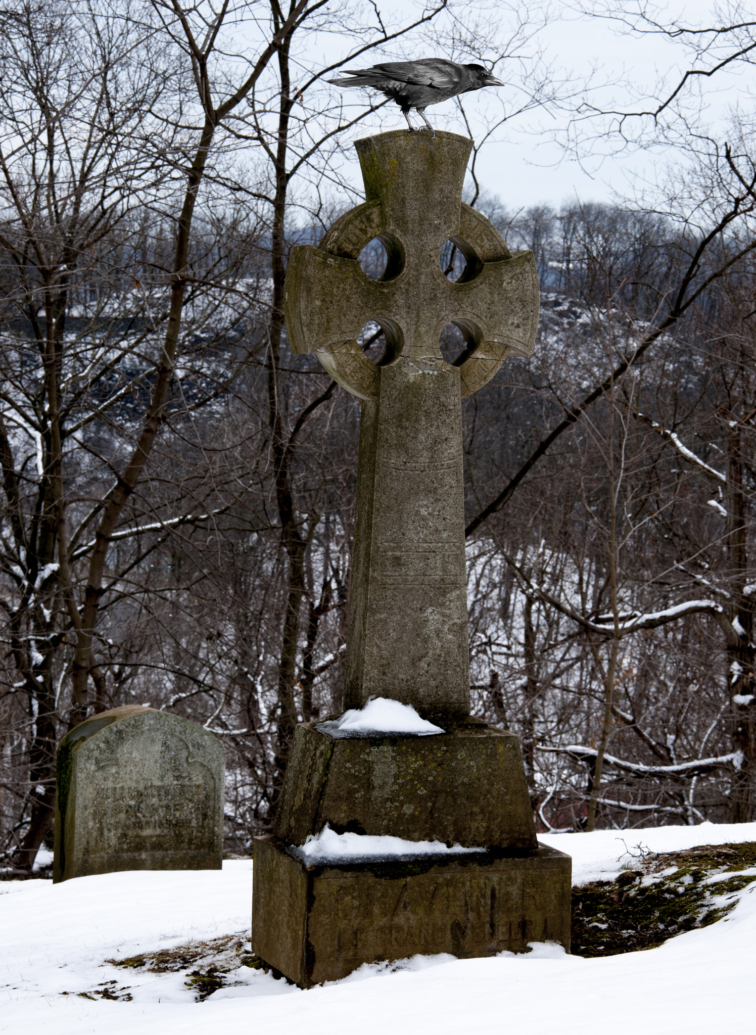 Nikon D300 sample photo. Tombstone crow photography