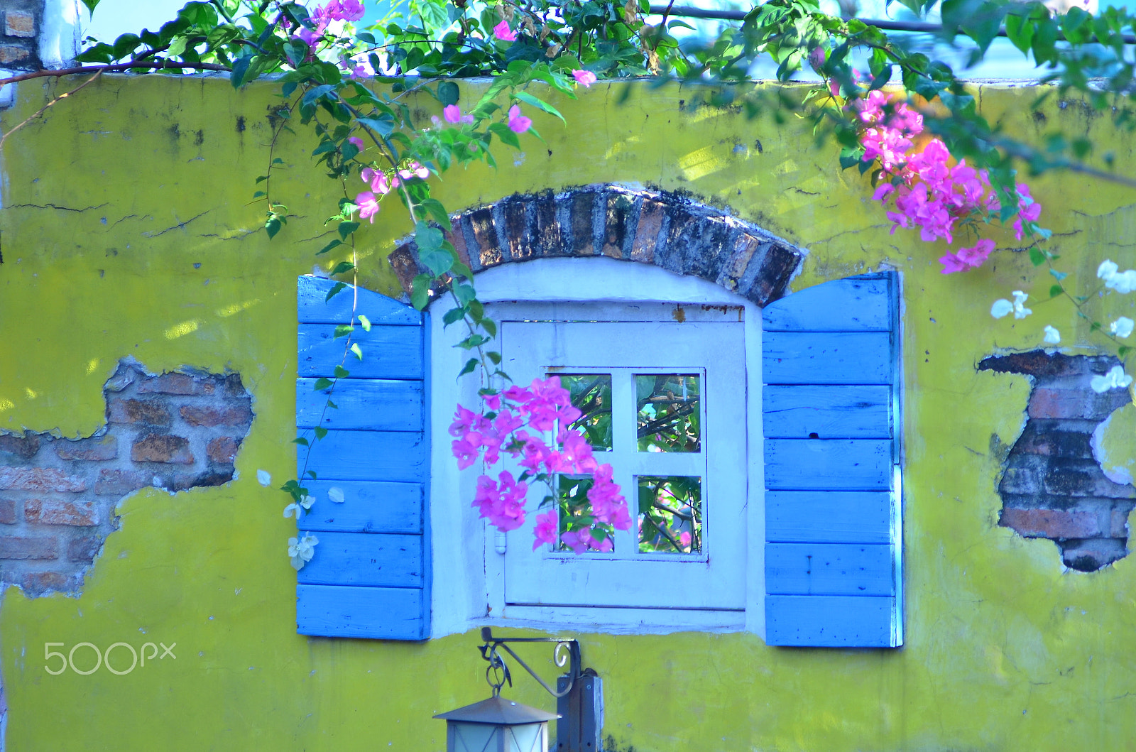 Nikon AF-Nikkor 80-200mm F2.8D ED sample photo. Colors photography