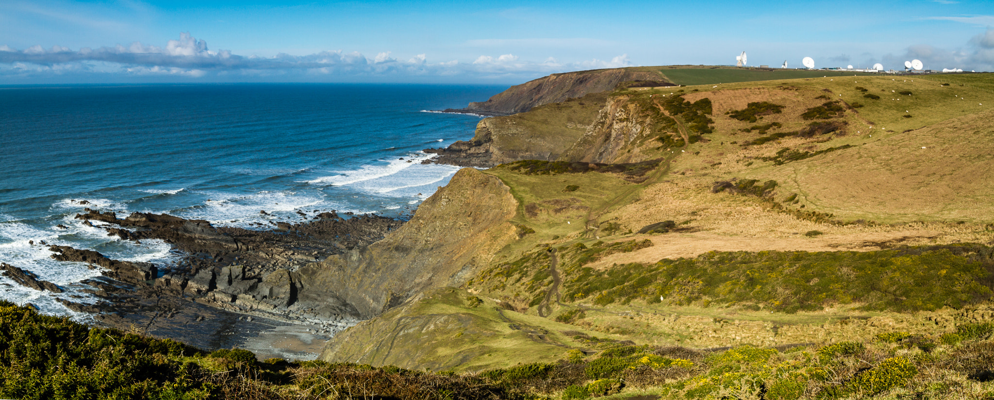 Canon EOS 7D + Sigma 18-50mm f/2.8 Macro sample photo. Sandymouth gchq photography