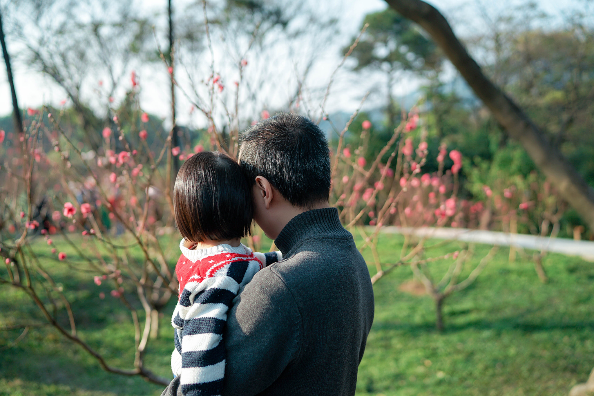 Sony a7 II + Sony Distagon T* FE 35mm F1.4 ZA sample photo. 前世情人 photography