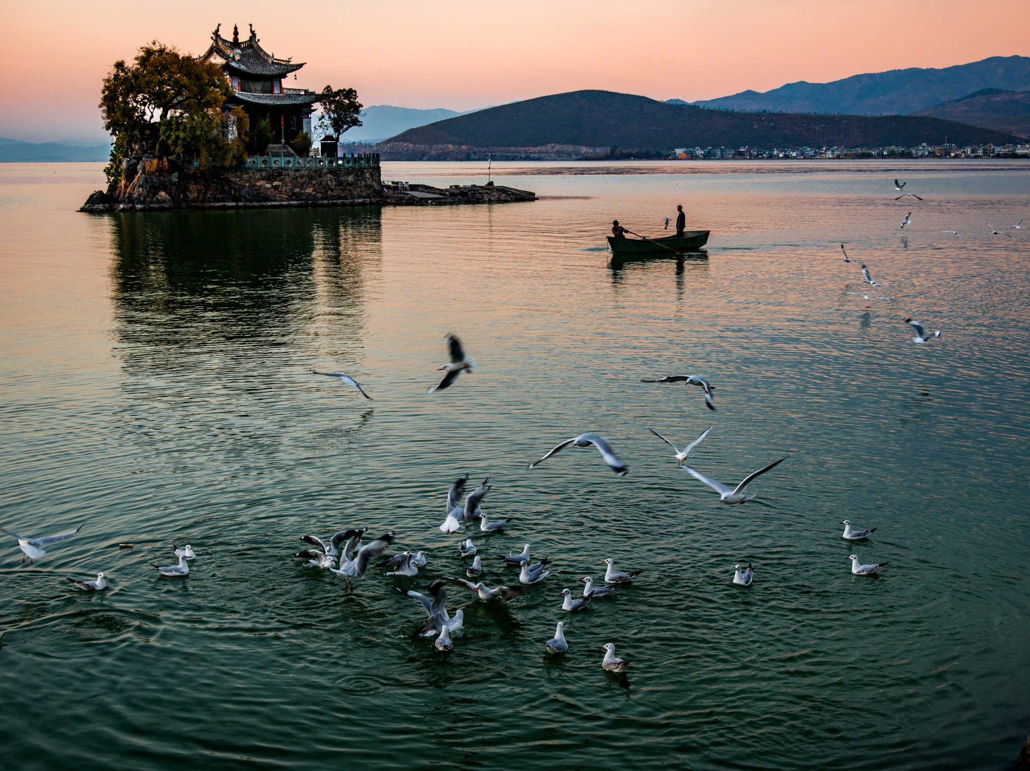 Hasselblad H5D + HCD 35-90 sample photo. Birds flying over the erhai lak photography