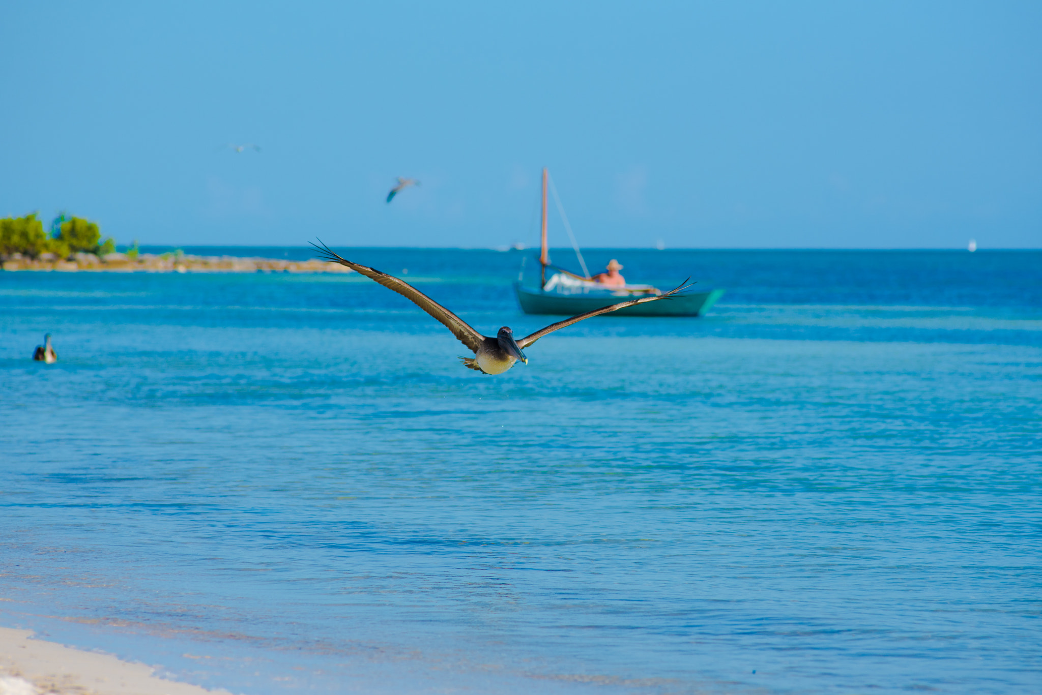 Nikon AF Nikkor 180mm F2.8D ED-IF sample photo. Miami beach& key west photography