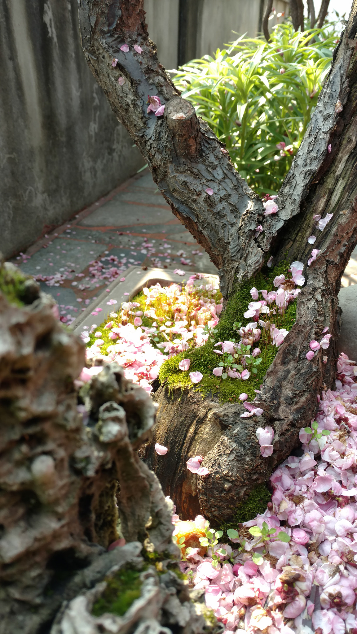 Motorola Moto X Style sample photo