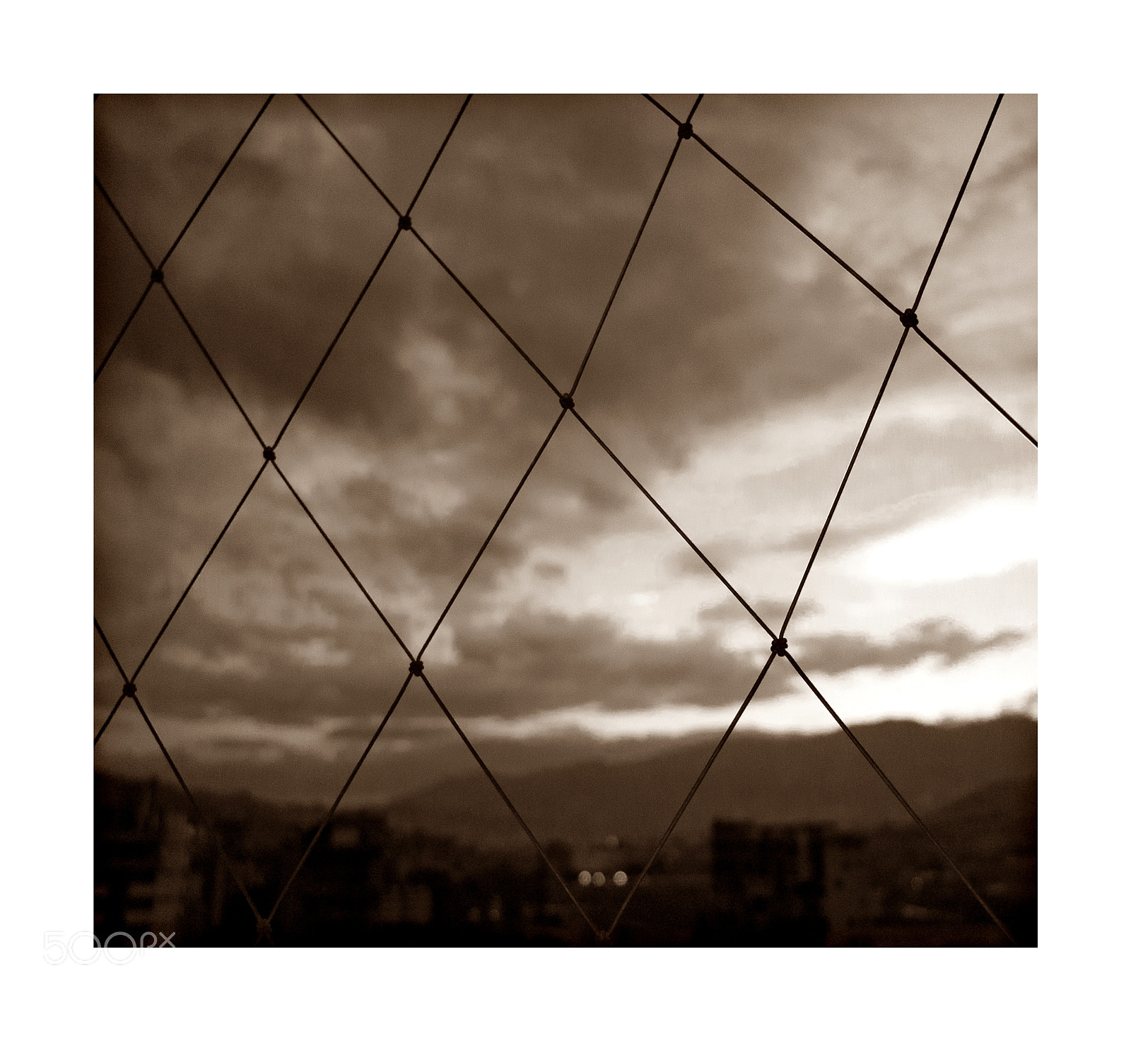 Leica D-LUX 4 sample photo. "insight" photography