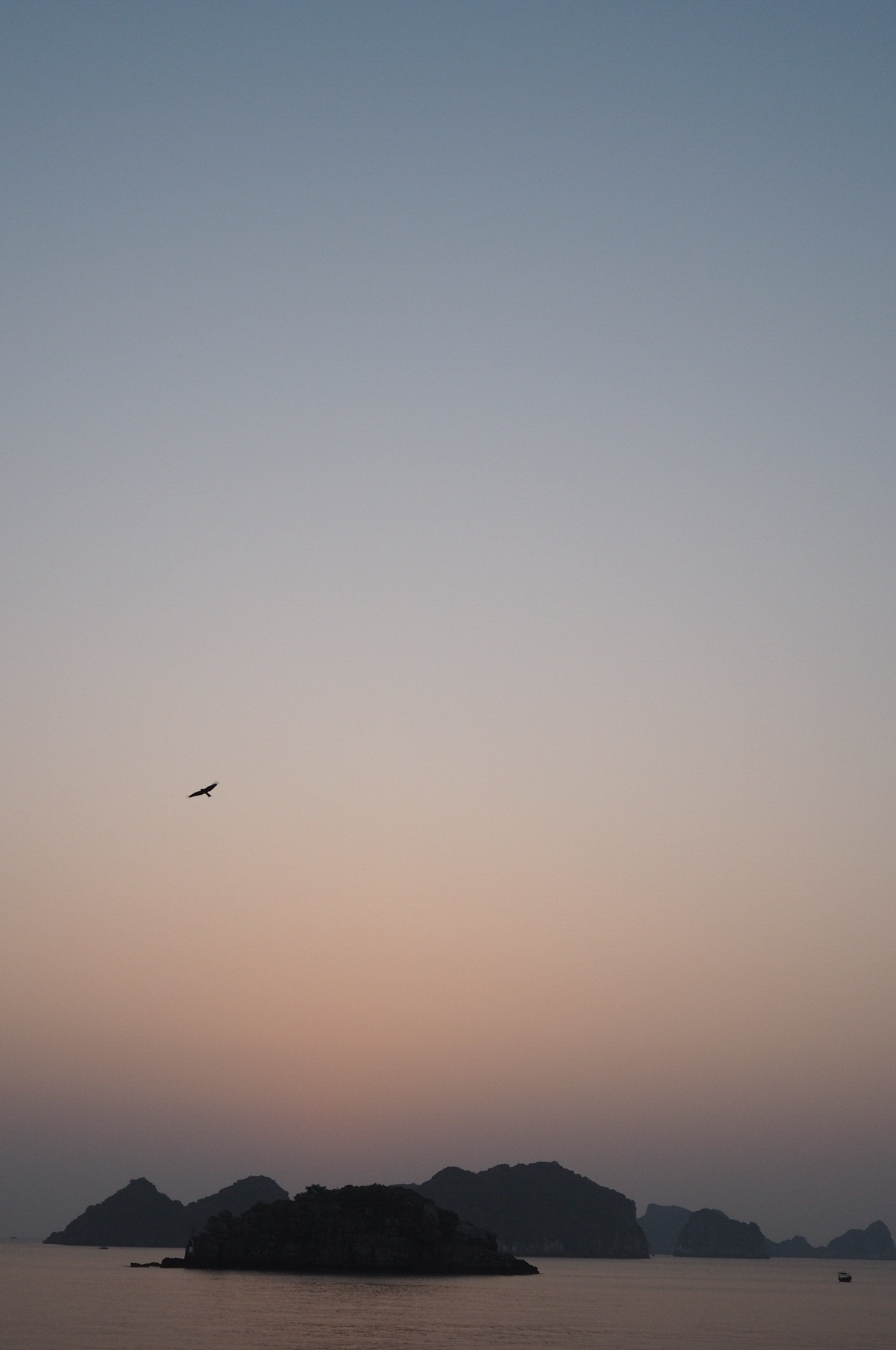 Olympus OM-D E-M10 sample photo. Morning flight photography