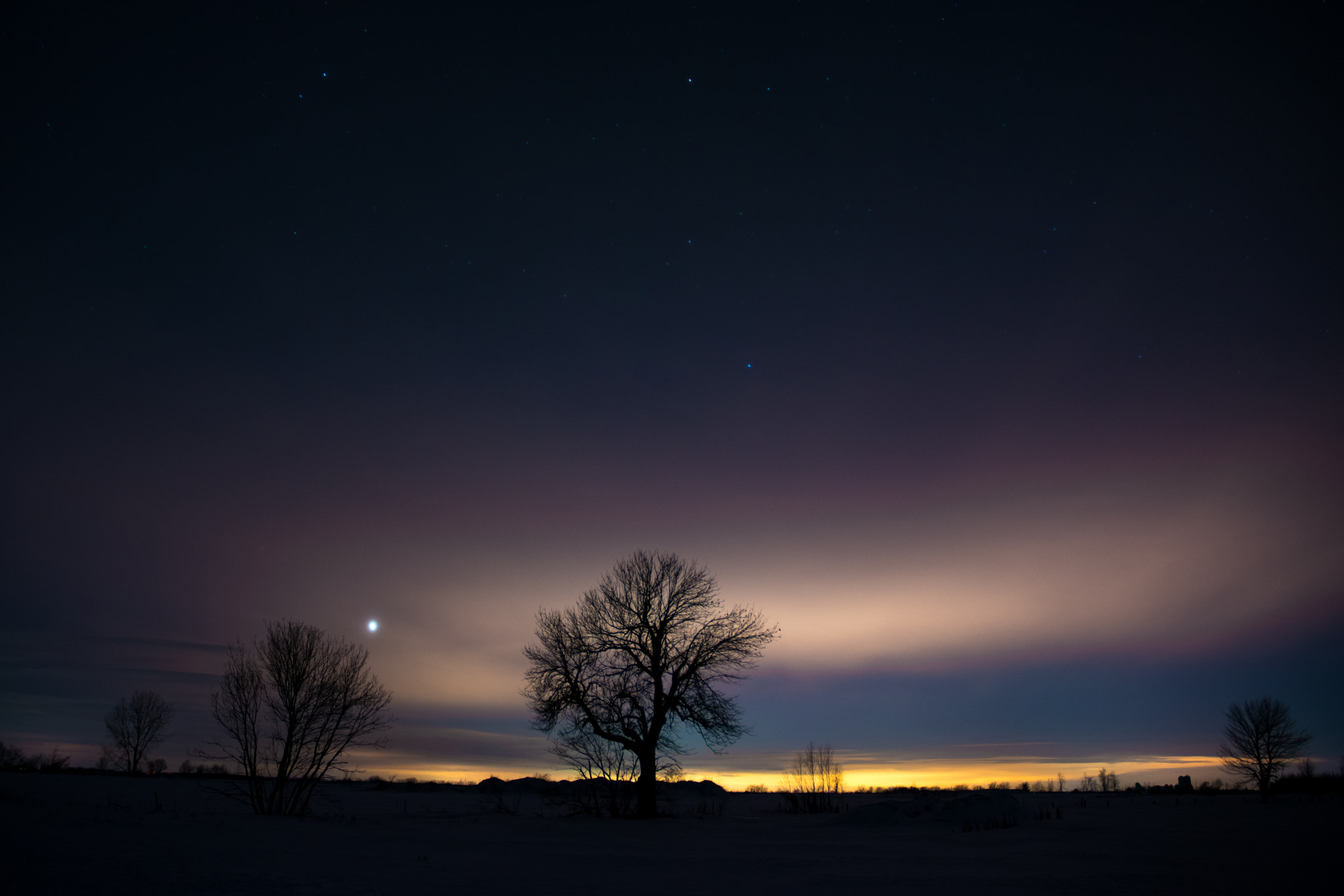 Nikon D3400 sample photo. Purple night photography