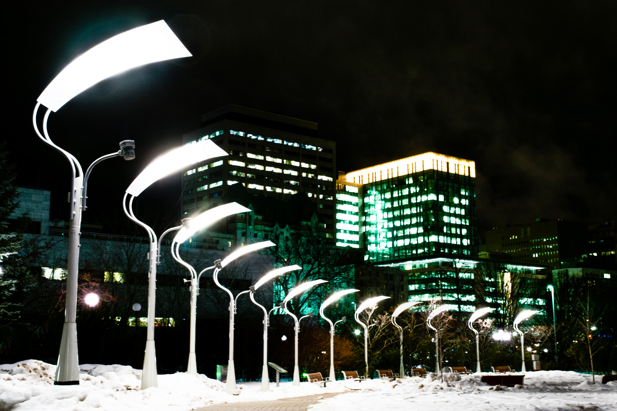 Nikon D3400 sample photo. City hall grounds photography