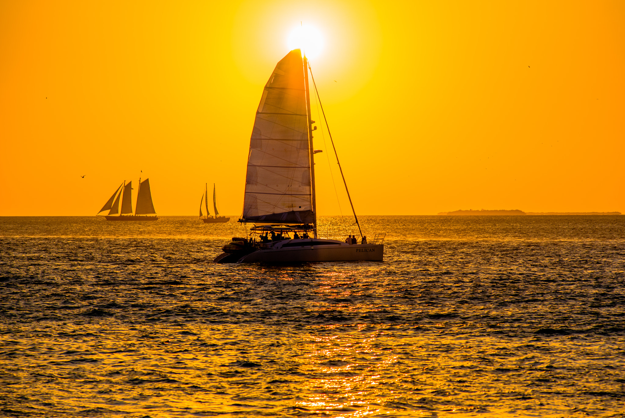 Nikon D750 + Nikon AF Nikkor 180mm F2.8D ED-IF sample photo. Miami beach& key west photography