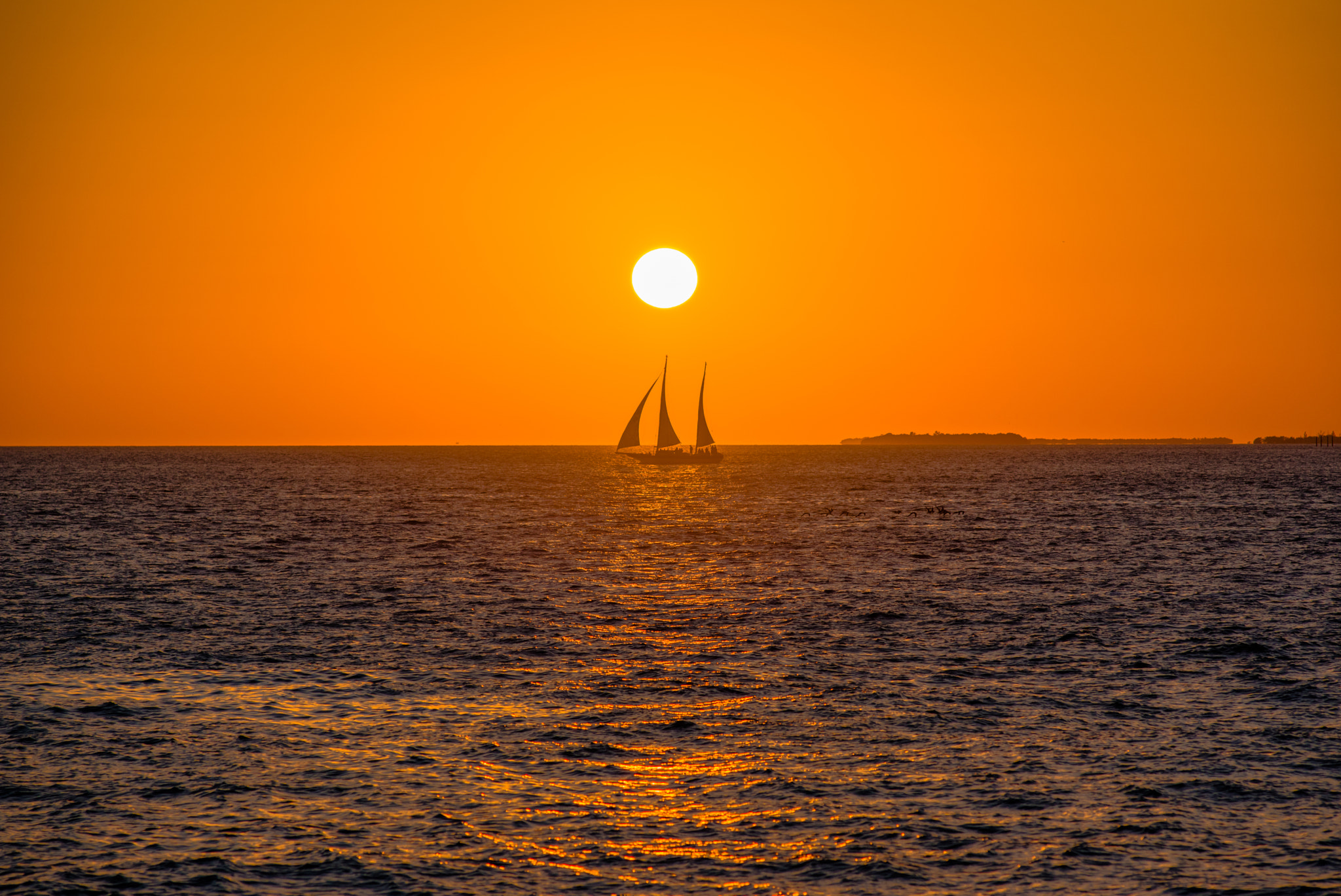 Nikon D750 + Nikon AF Nikkor 180mm F2.8D ED-IF sample photo. Miami beach& key west photography