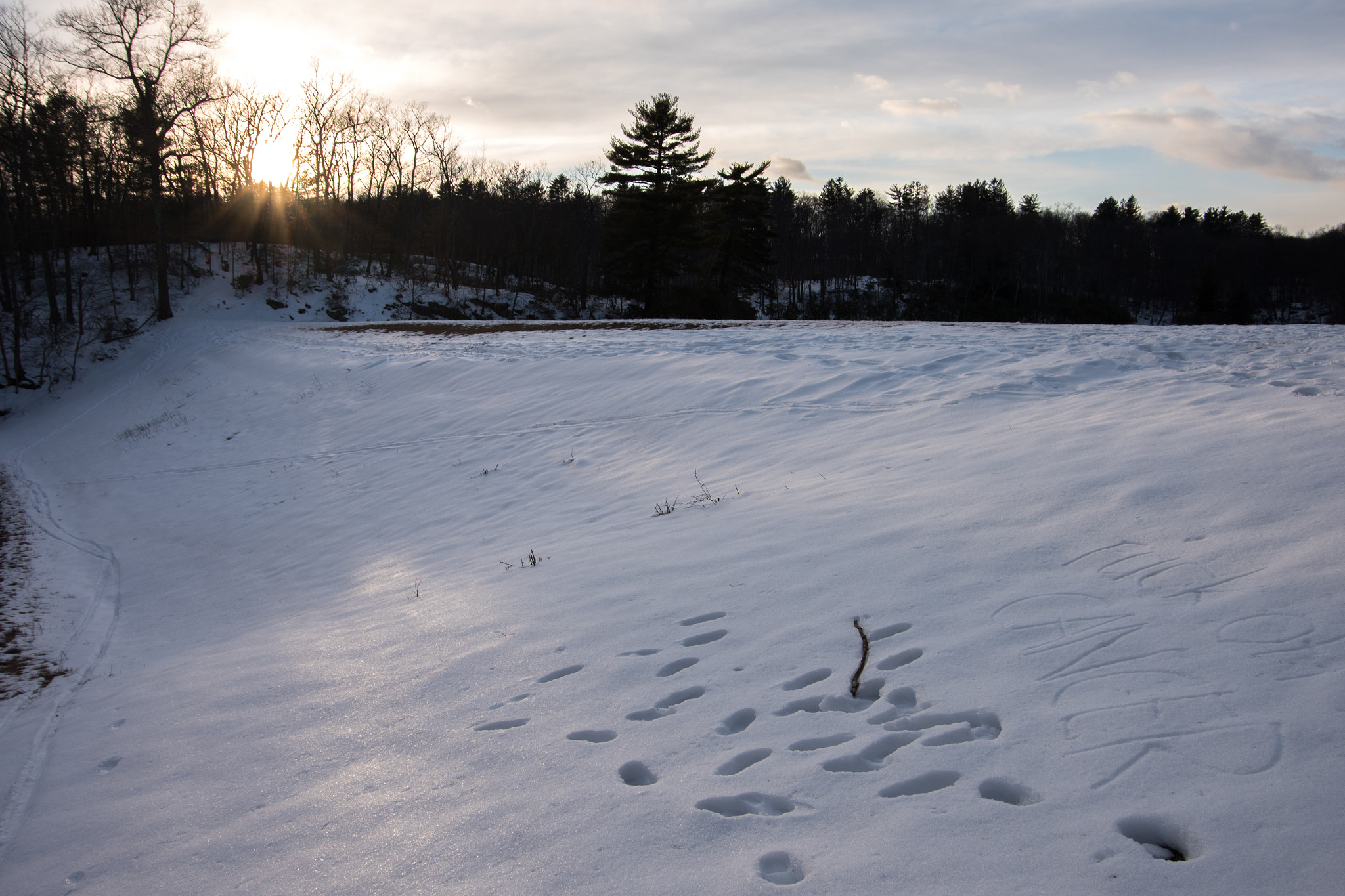 Pentax K-1 sample photo. F-off cancer; a message in the snow photography