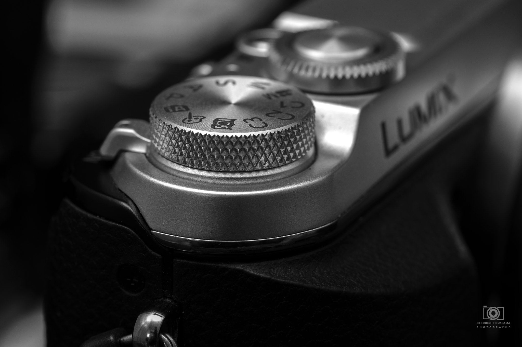 Tamron SP AF 90mm F2.8 Di Macro sample photo. Lumix gx7 photography