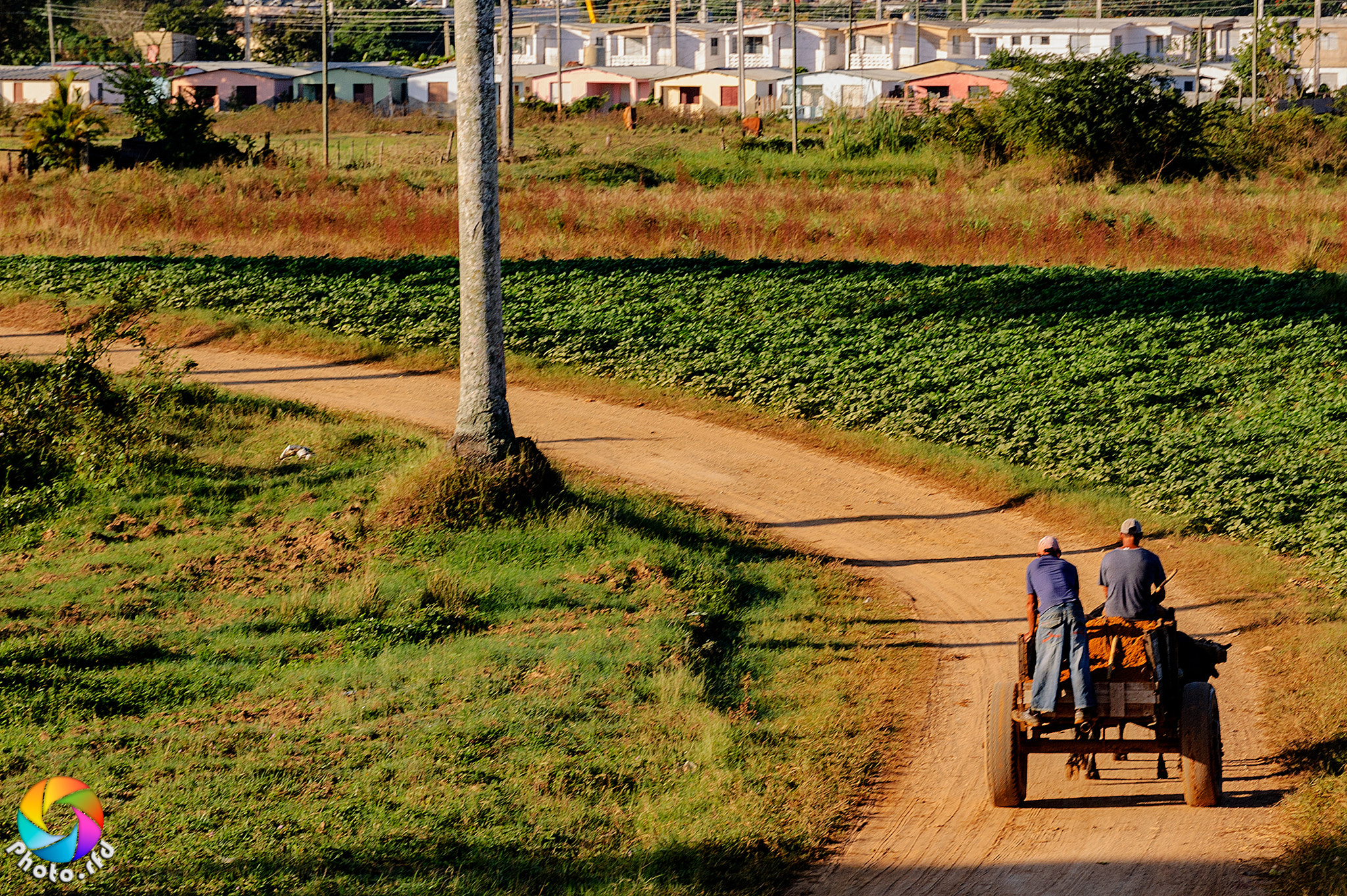Nikon D70 sample photo. The bend in the road photography