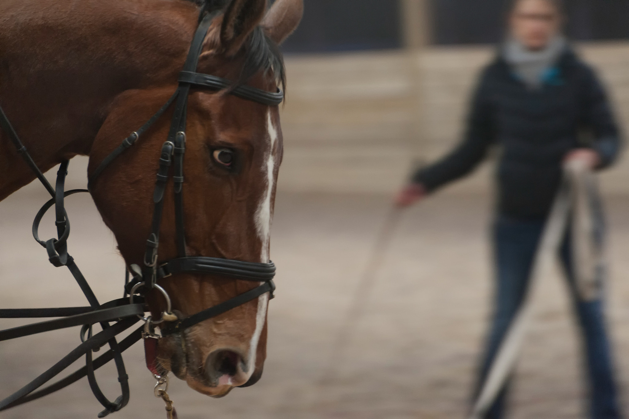Nikon D3 sample photo. Lunging photography