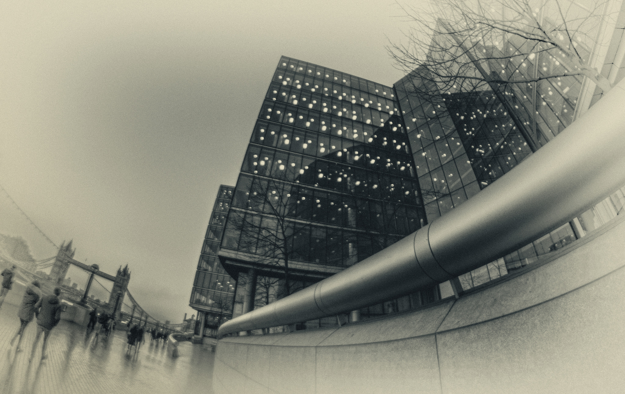 Nikon D3200 + Samyang 8mm F3.5 Aspherical IF MC Fisheye sample photo. Grey canvas photography