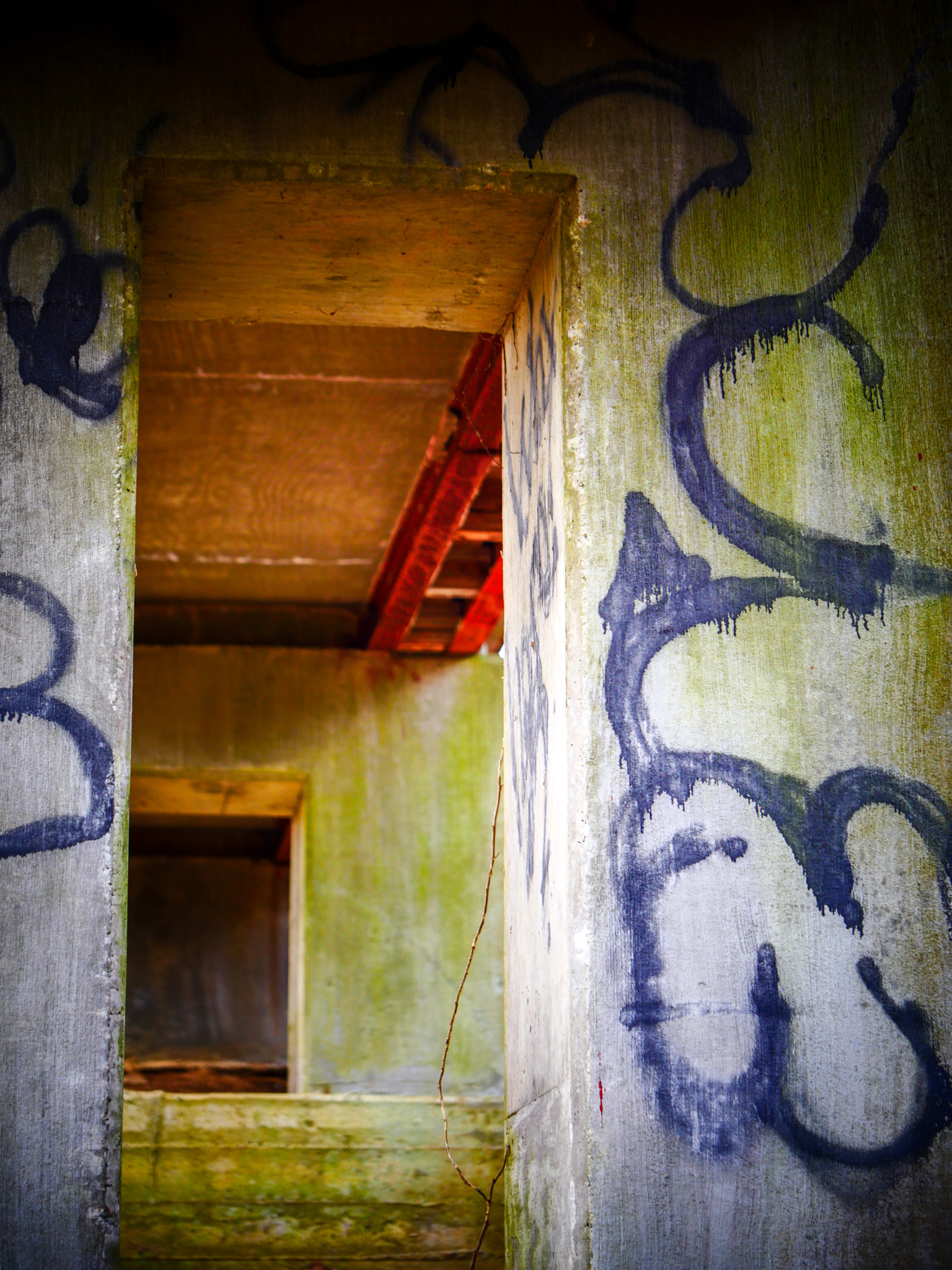 Panasonic Leica DG Macro-Elmarit 45mm F2.8 ASPH OIS sample photo. Under the bridge photography