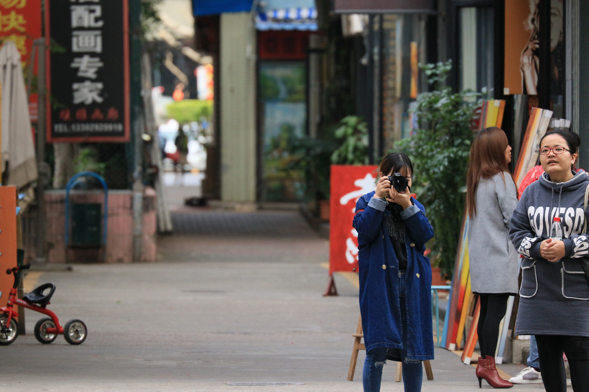 Canon EF 70-300mm F4-5.6L IS USM sample photo. Looking...... photography