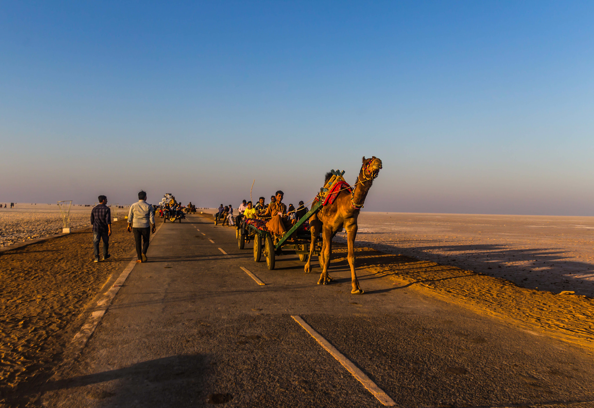 Canon EOS 1200D (EOS Rebel T5 / EOS Kiss X70 / EOS Hi) sample photo. Camel ride @ rann of kutch photography