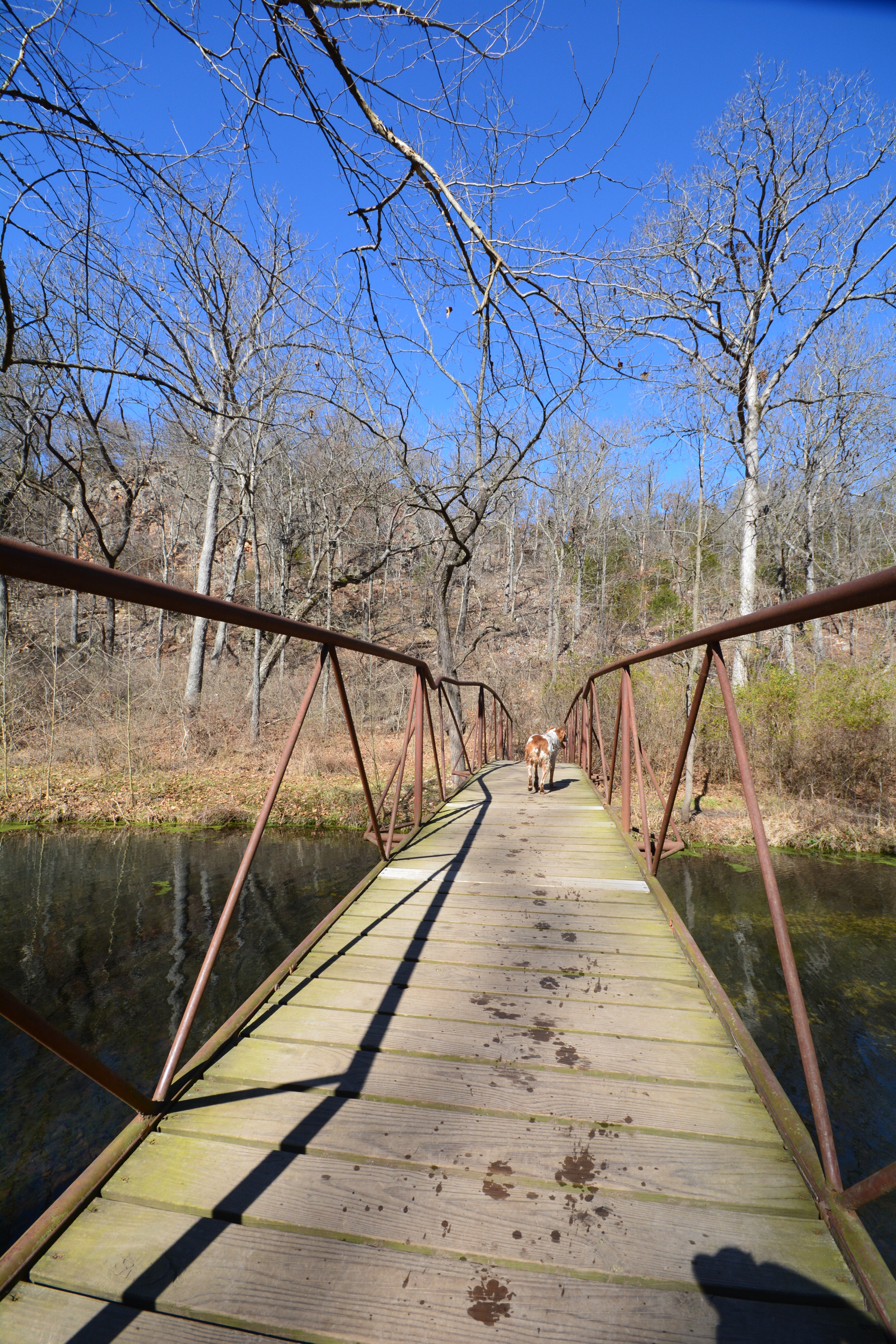 Sigma 10-20mm F4-5.6 EX DC HSM sample photo. Natural falls state park photography