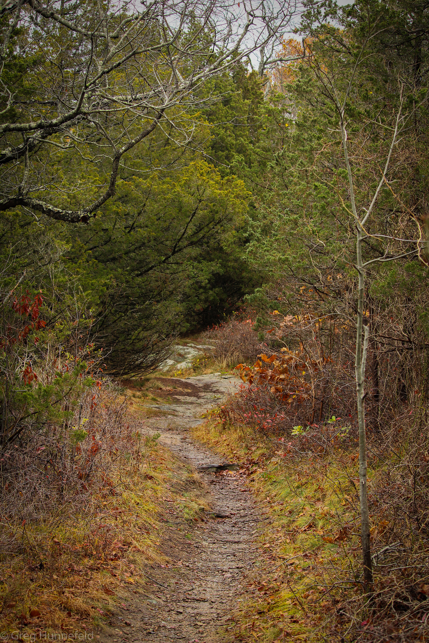 Canon EF-S 55-250mm F4-5.6 IS STM sample photo. Autumn trails photography