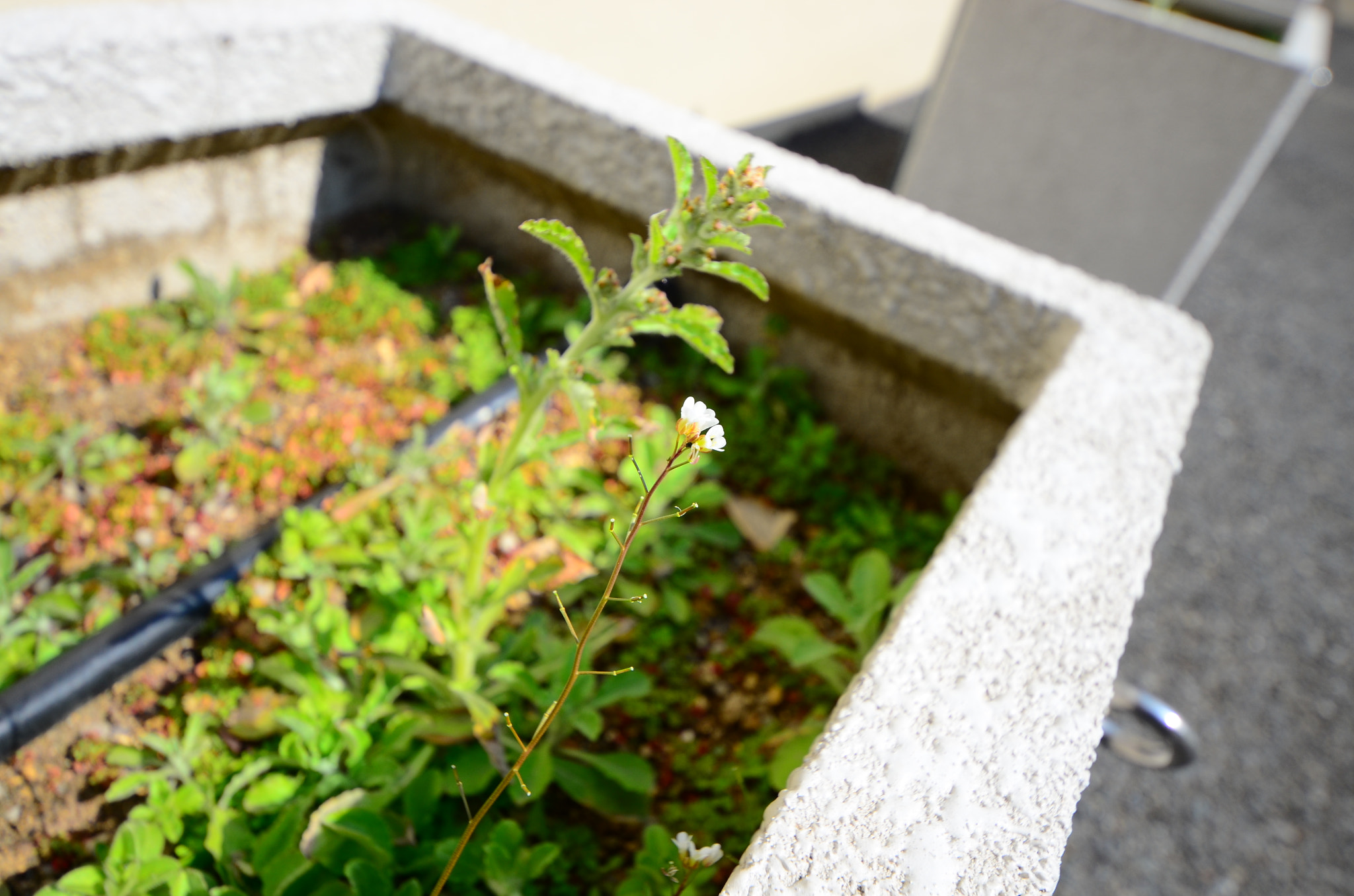 Sigma 8-16mm F4.5-5.6 DC HSM sample photo