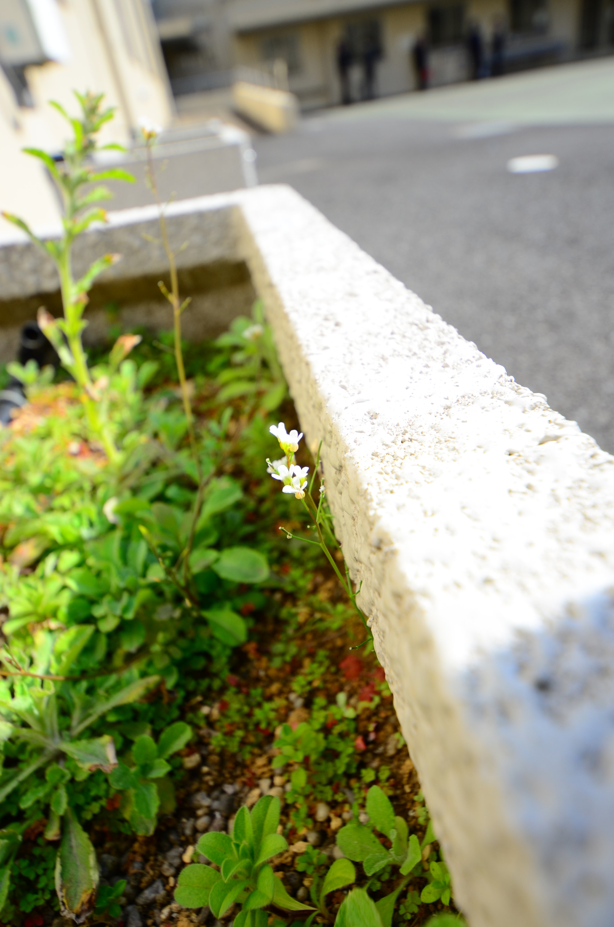 Sigma 8-16mm F4.5-5.6 DC HSM sample photo